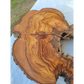 200+ Year Old Olive Wood Slab | Live Edge Olive Wood Slice with Natural Void for Epoxy Art.