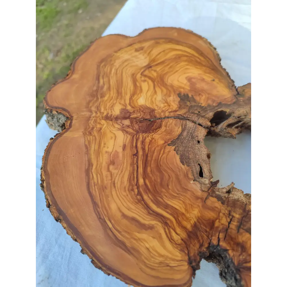 200+ Year Old Olive Wood Slab | Live Edge Olive Wood Slice with Natural Void for Epoxy Art.
