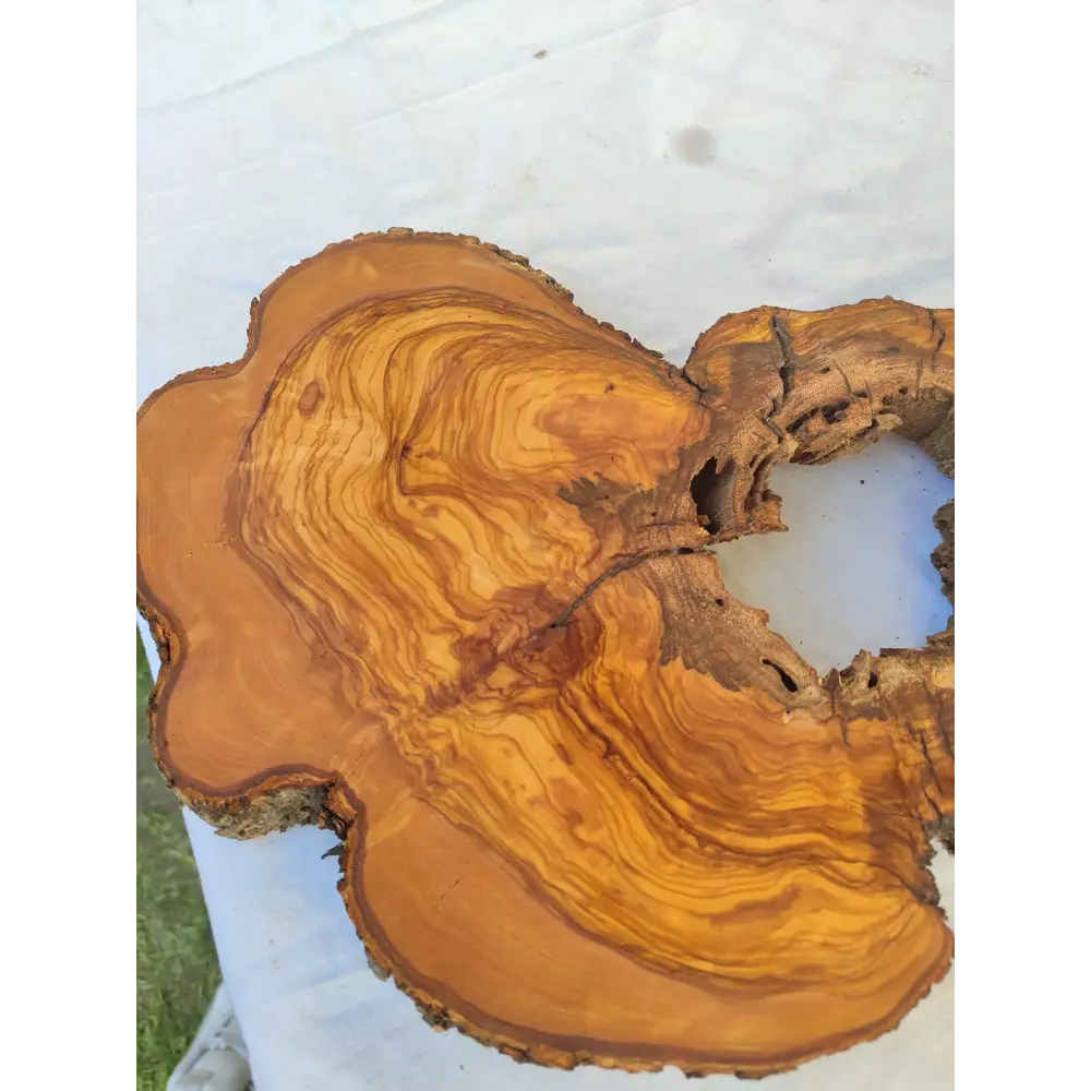 200+ Year Old Olive Wood Slab | Live Edge Olive Wood Slice with Natural Void for Epoxy Art.
