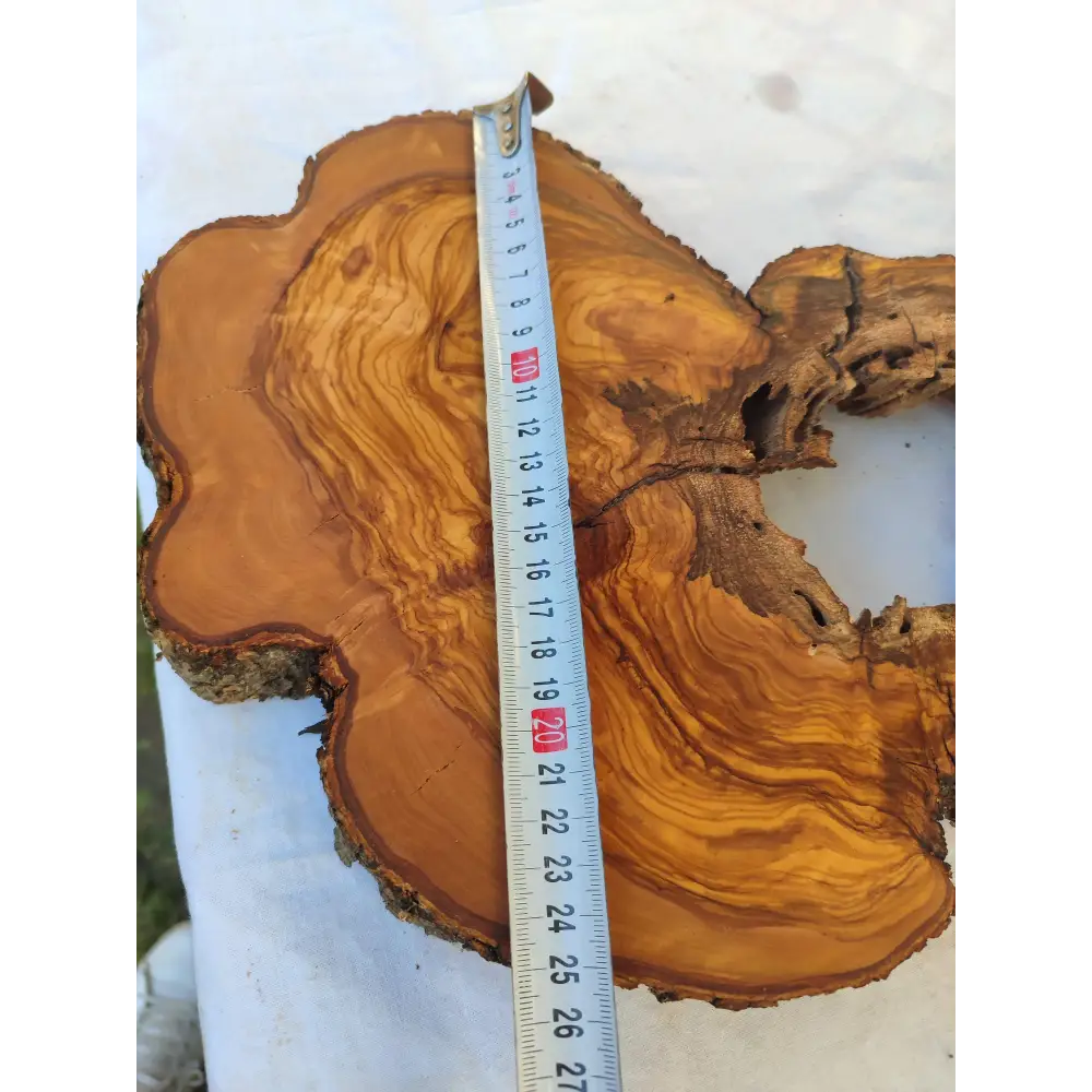 200+ Year Old Olive Wood Slab | Live Edge Olive Wood Slice with Natural Void for Epoxy Art.