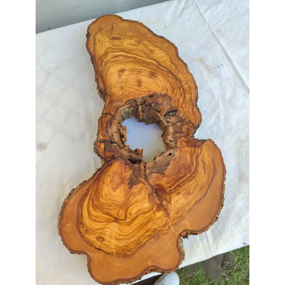 200+ Year Old Olive Wood Slab | Live Edge Olive Wood Slice with Natural Void for Epoxy Art.