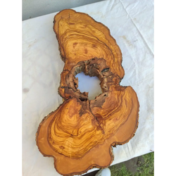 200+ Year Old Olive Wood Slab | Live Edge Olive Wood Slice with Natural Void for Epoxy Art.