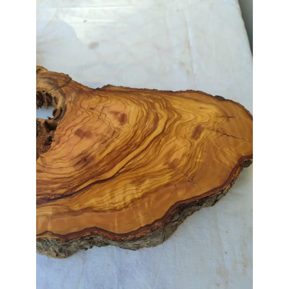 200+ Year Old Olive Wood Slab | Live Edge Olive Wood Slice with Natural Void for Epoxy Art.