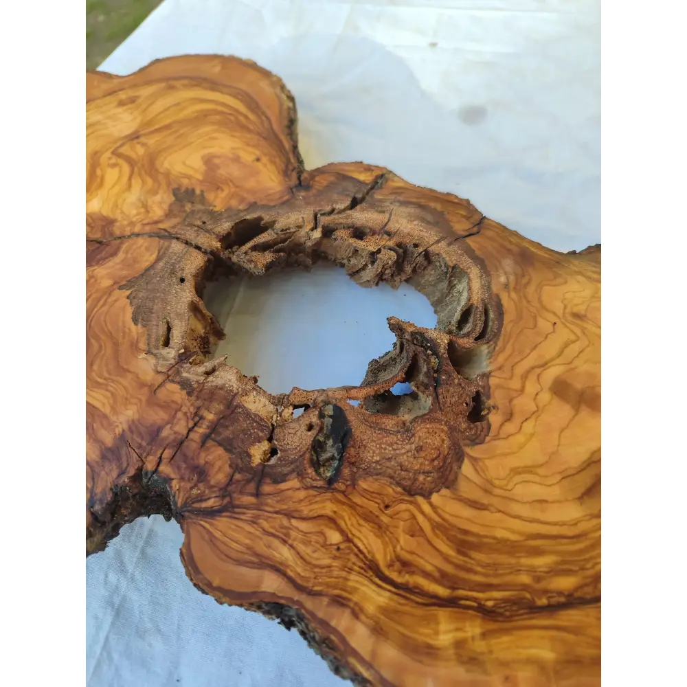 200+ Year Old Olive Wood Slab | Live Edge Olive Wood Slice with Natural Void for Epoxy Art.