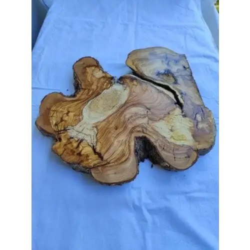200 yr old Olive wood slab for epoxy resin coffee tables and diy projects.