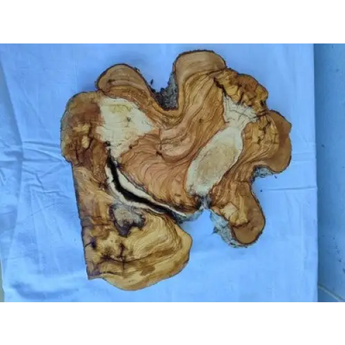 200 yr old Olive wood slab for epoxy resin coffee tables and diy projects.