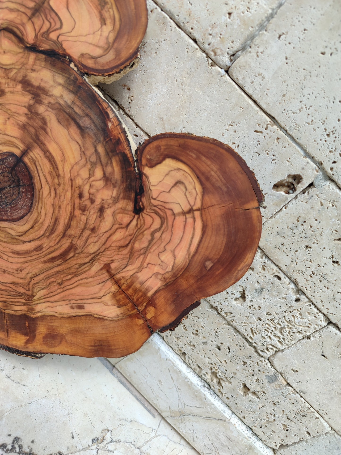 Rare Olive Wood Live Edge Slab – 31x40cm Premium Sustainable Luxury, Unique Grain, Natural Luster, Epoxy Friendly