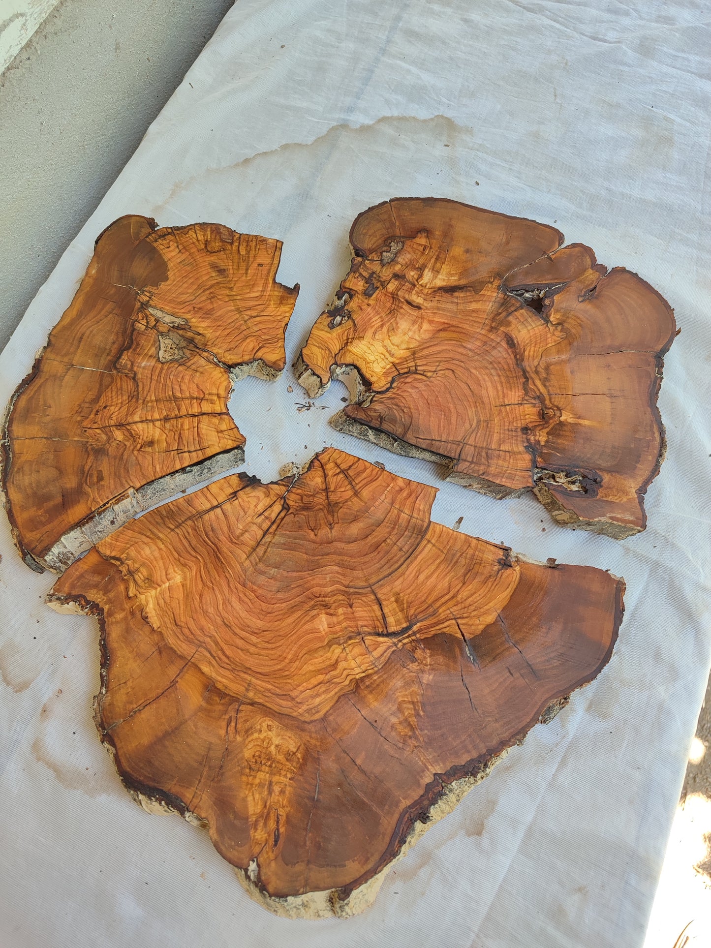 Rare Olive Wood Live Edge Slab – 37x40x2.5 cm, Unique Grain, Sustainable Luxury for Epoxy & Furniture