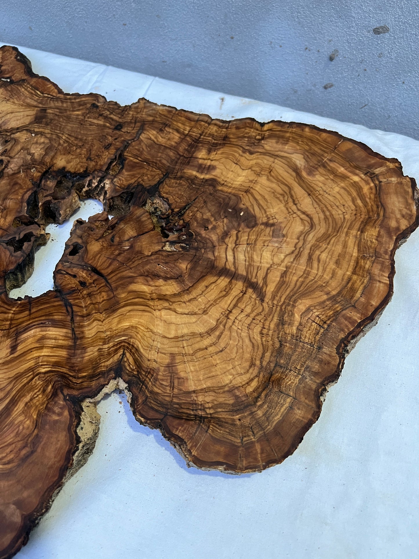 Rare Live Edge Olive Wood Slab 41x65cm | Unique Grain for Epoxy Resin, Luthier & Luxury Decor | Sustainable Premium DIY Material.