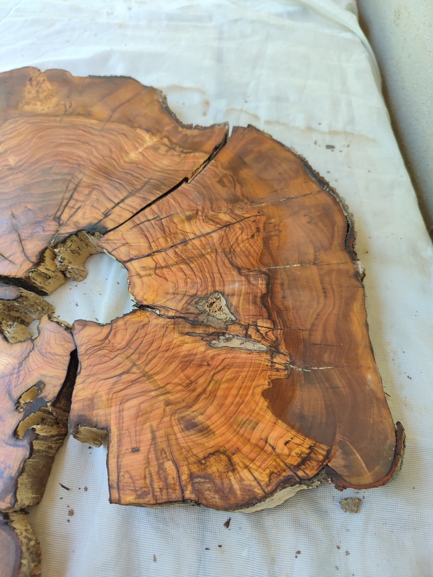 Rare Olive Wood Live Edge Slab – 37x40x2.5 cm, Unique Grain, Sustainable Luxury for Epoxy & Furniture