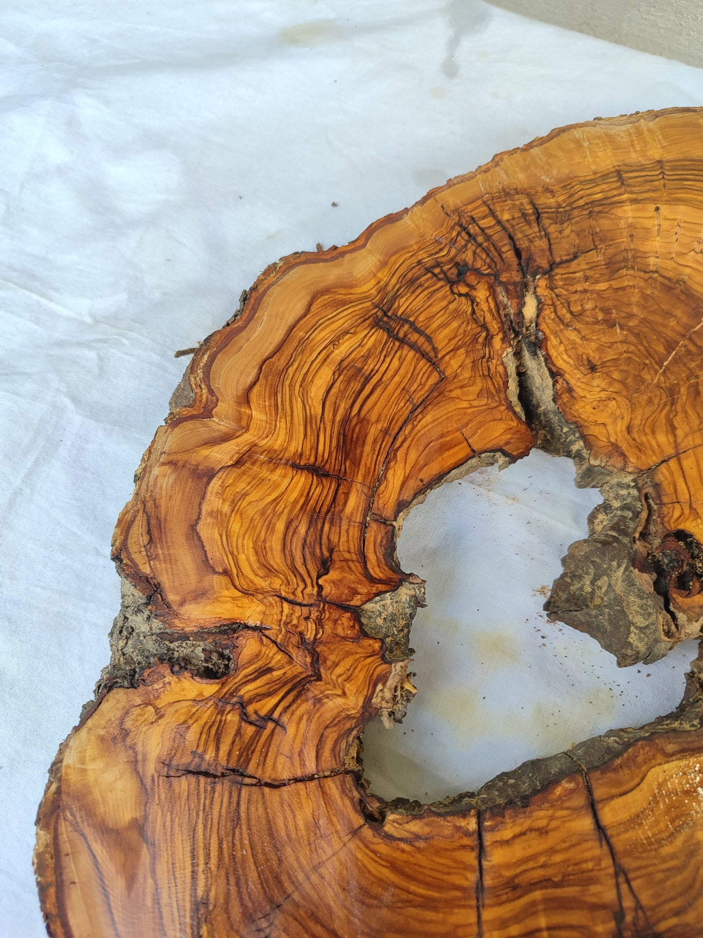 Rare Olive Wood Slab – Live Edge Unique Grain Sustainable Luxury – 29x39x3 cm Epoxy Friendly - Olive Generic