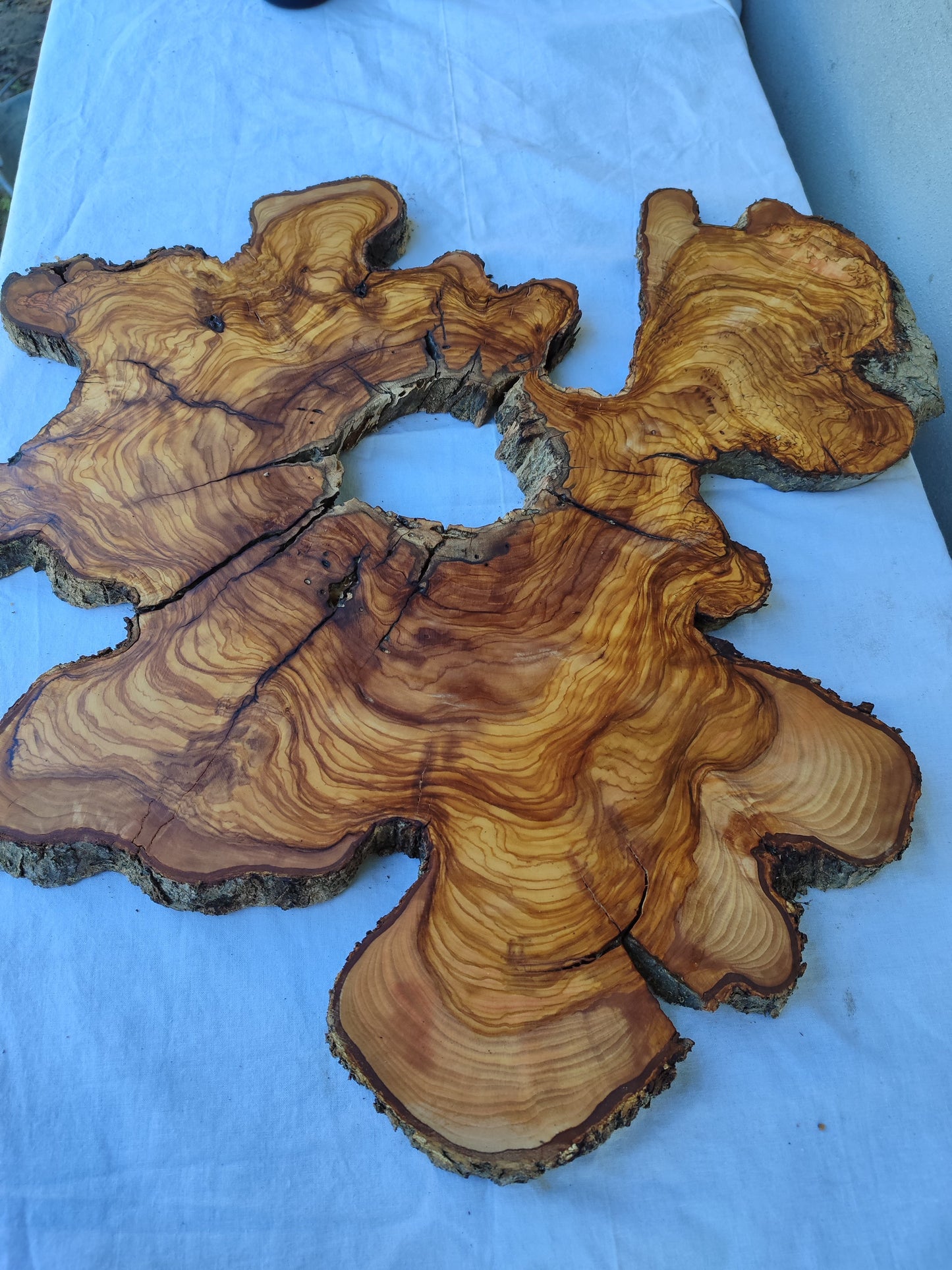 Rare Olive Wood Slab Set 2pcs 53x53cm - Super Dry 3% Moisture - Live Edge for Epoxy Resin, Guitar Body & Luxury Decor - Unique Grain.