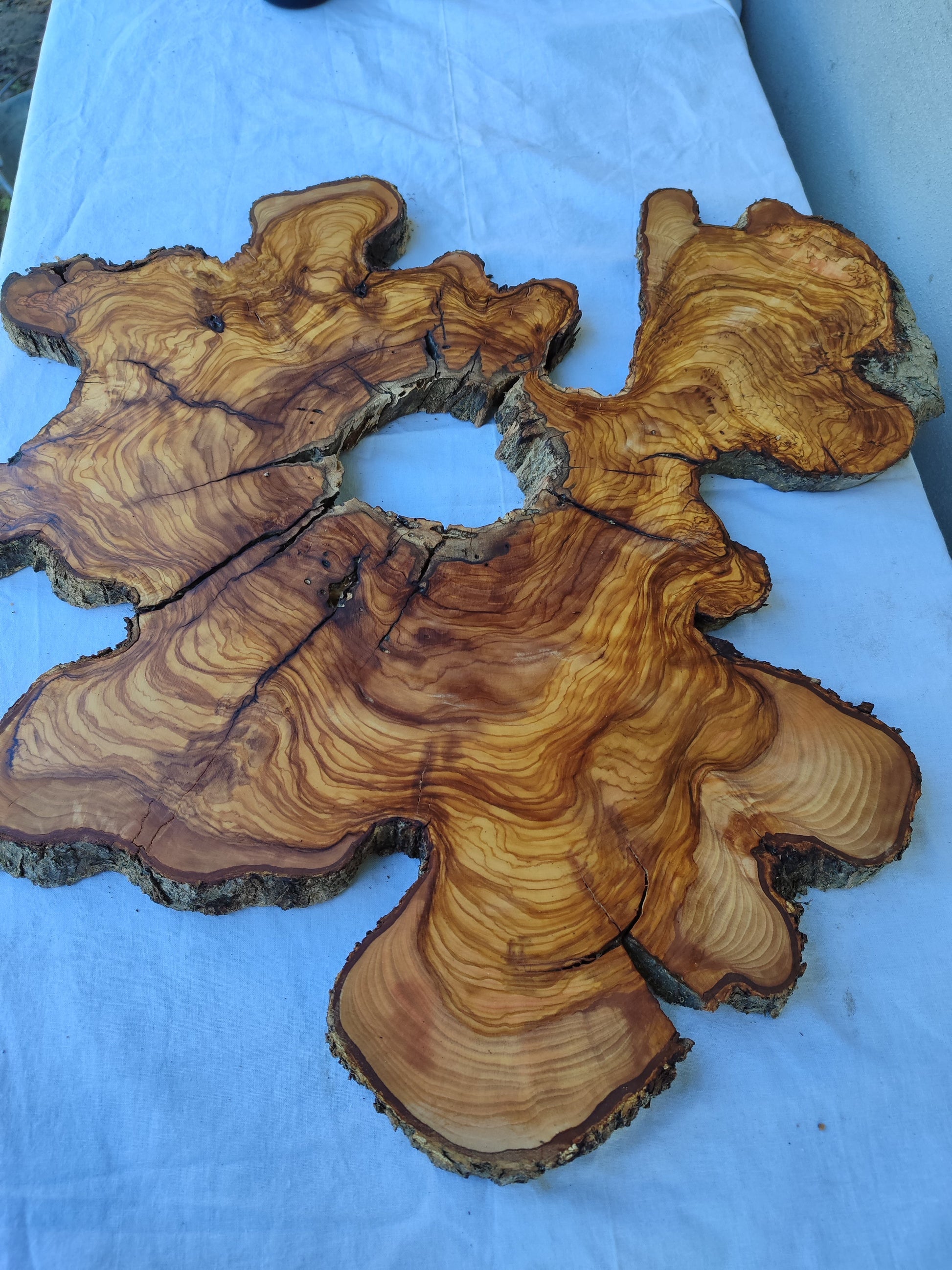 Rare Olive Wood Slab Set 2pcs 53x53cm - Super Dry 3% Moisture - Live Edge for Epoxy Resin, Guitar Body & Luxury Decor - Unique Grain.