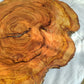 Rare Olive Wood Slab – Live Edge Unique Grain Sustainable Luxury for Epoxy Table & Craft - Olive Generic