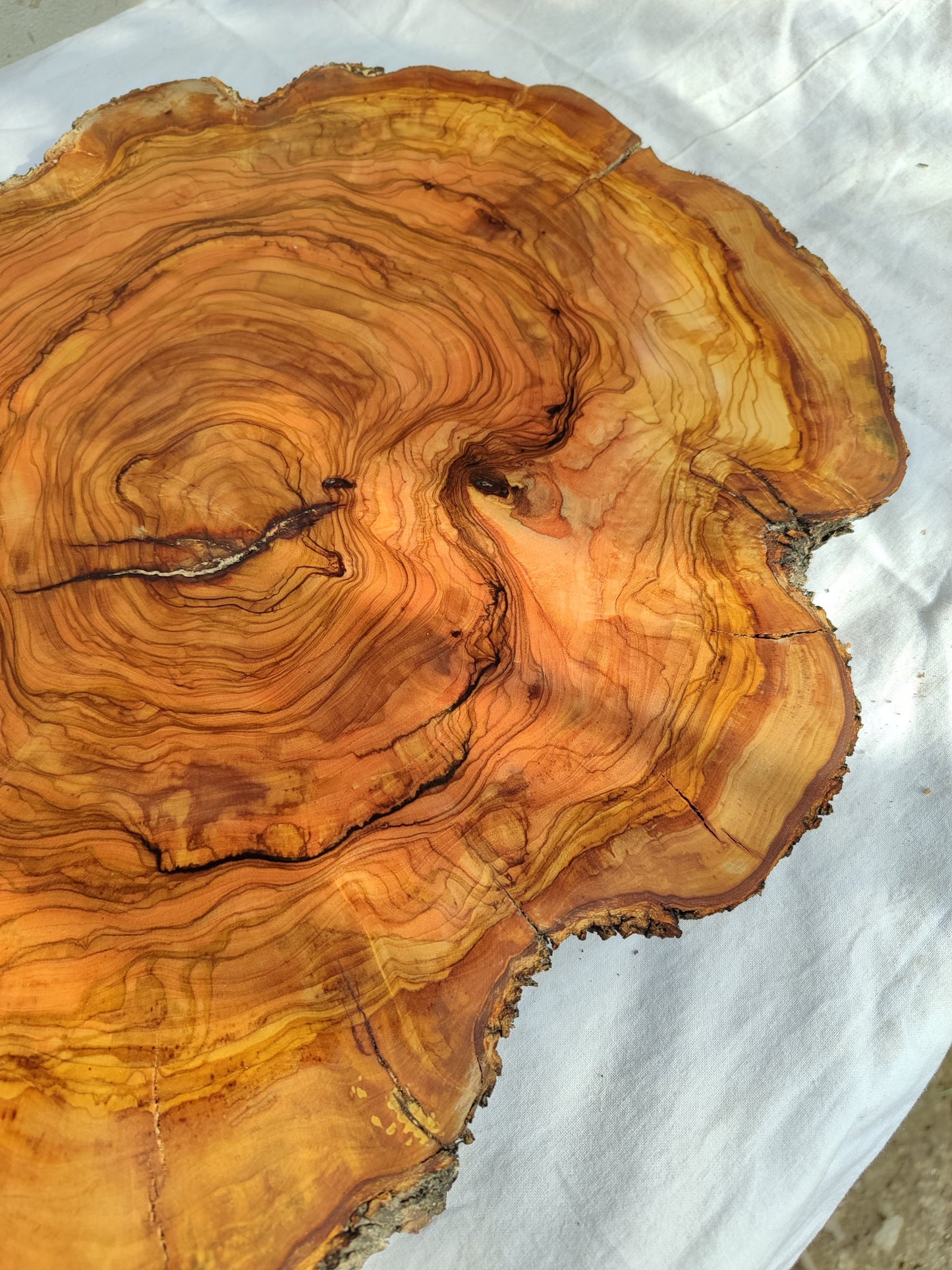 Rare Olive Wood Slab – Live Edge Unique Grain Sustainable Luxury for Epoxy Table & Craft - Olive Generic