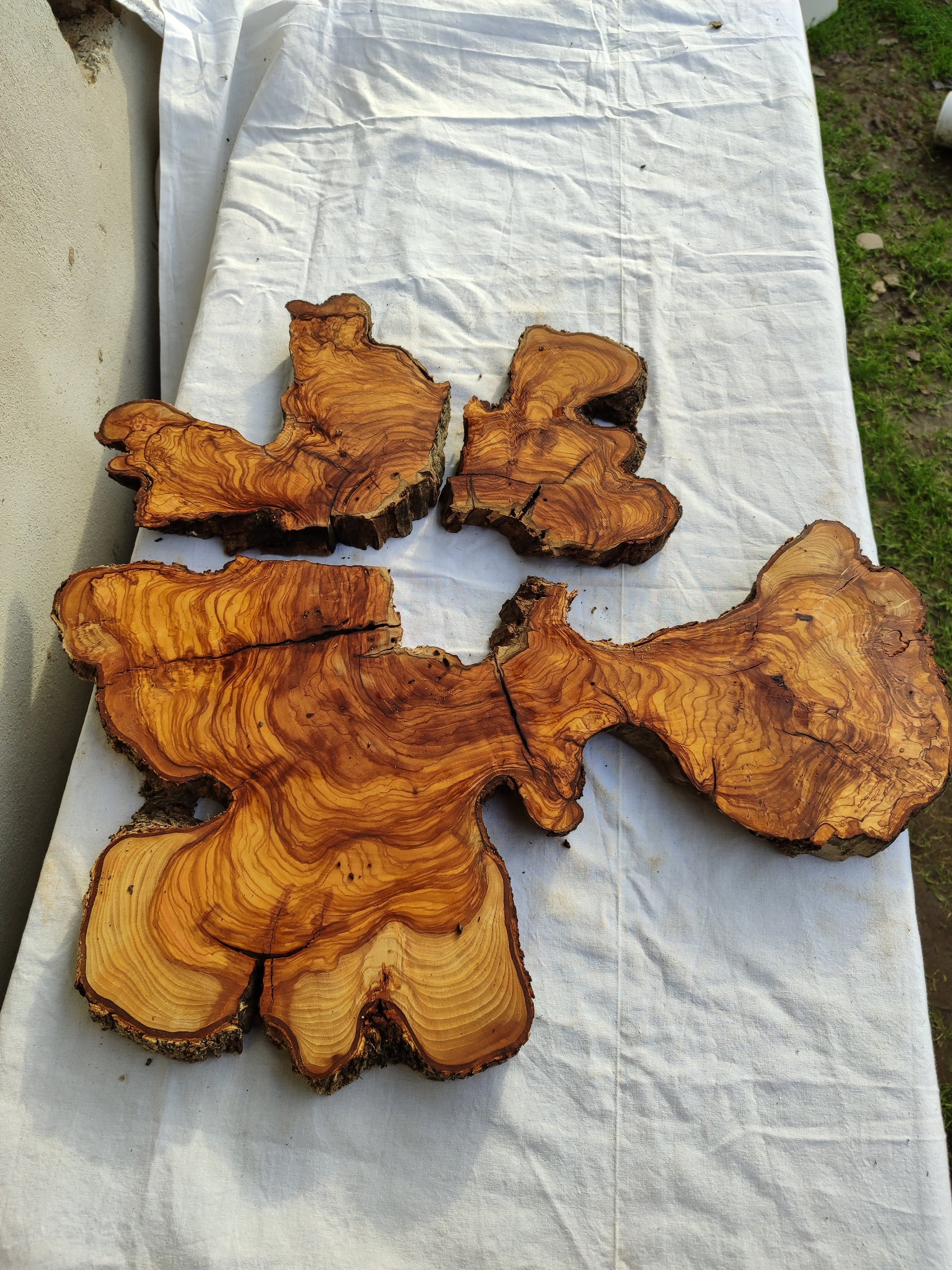 Rare Olive Wood Slab 53x55cm - Live Edge for Epoxy Resin & Coffee Table.