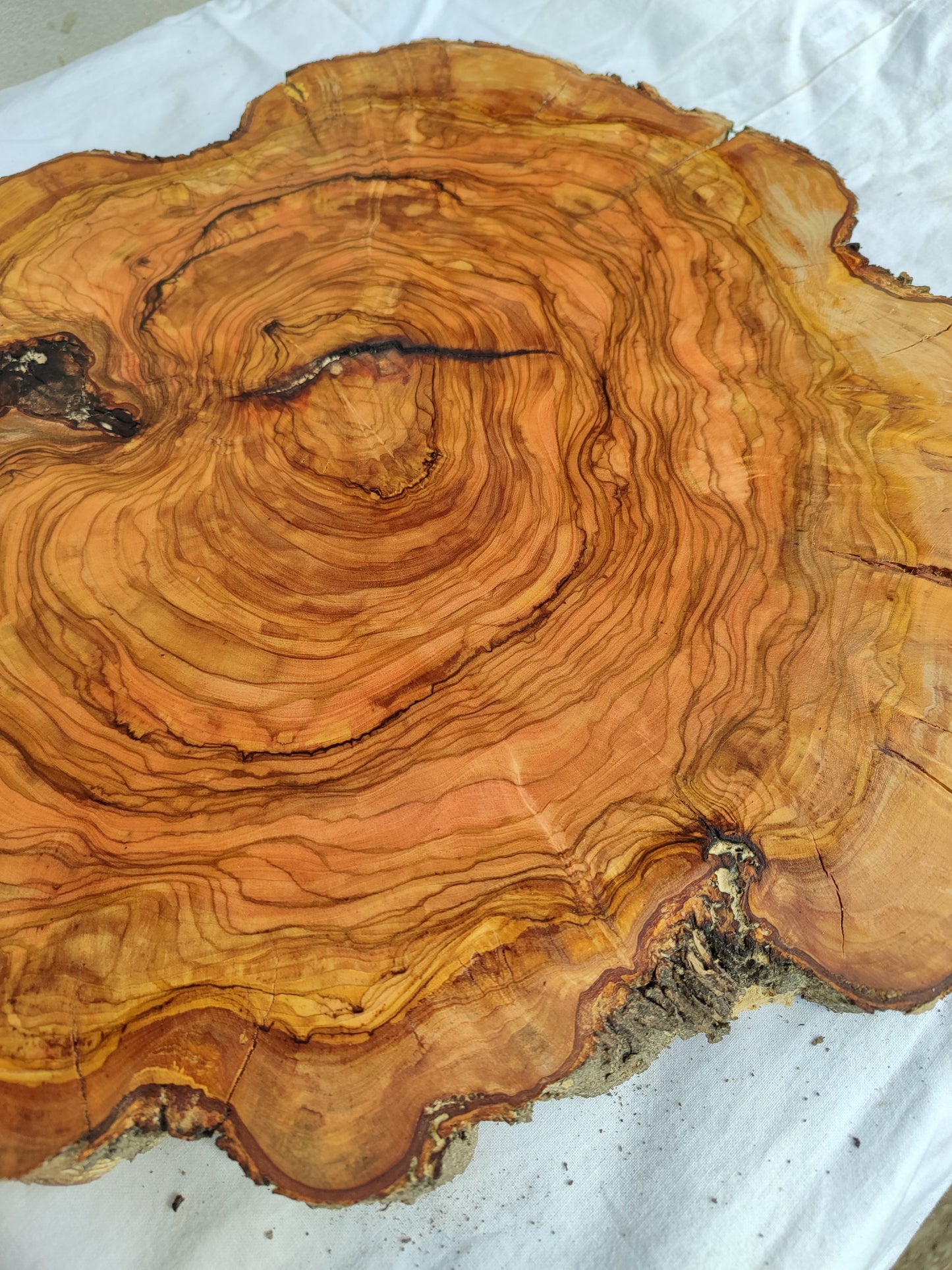 Rare Olive Wood Live Edge Slab – 39x42x2.5 cm – Unique Grain Sustainable Luxury for Epoxy & Crafts - Olive Generic