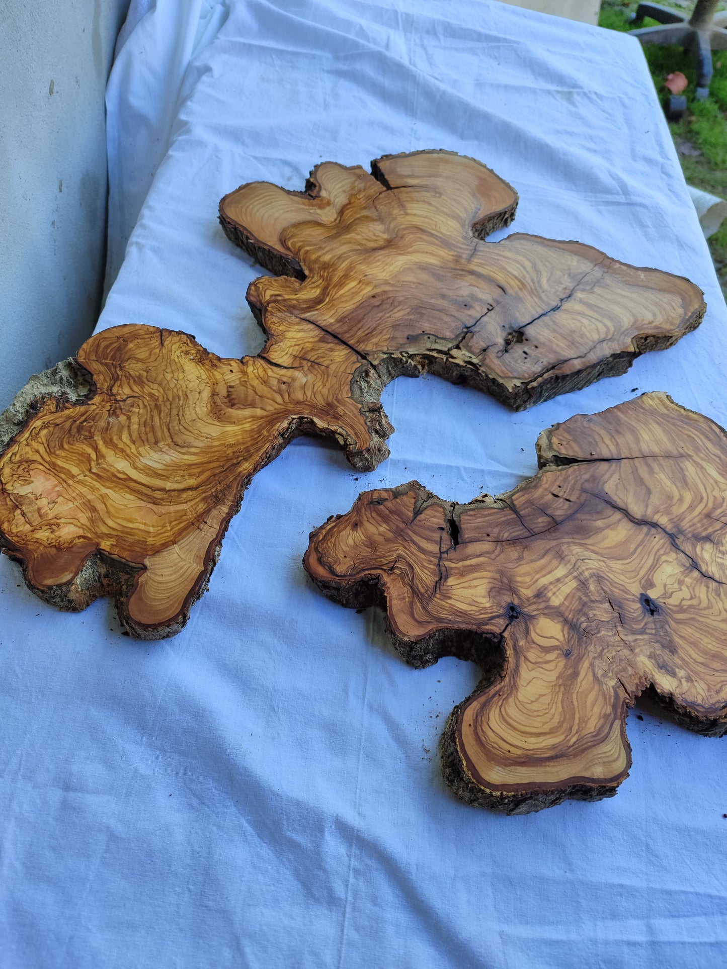 Rare Olive Wood Slab Set 2pcs 53x53cm - Super Dry 3% Moisture - Live Edge for Epoxy Resin, Guitar Body & Luxury Decor - Unique Grain.