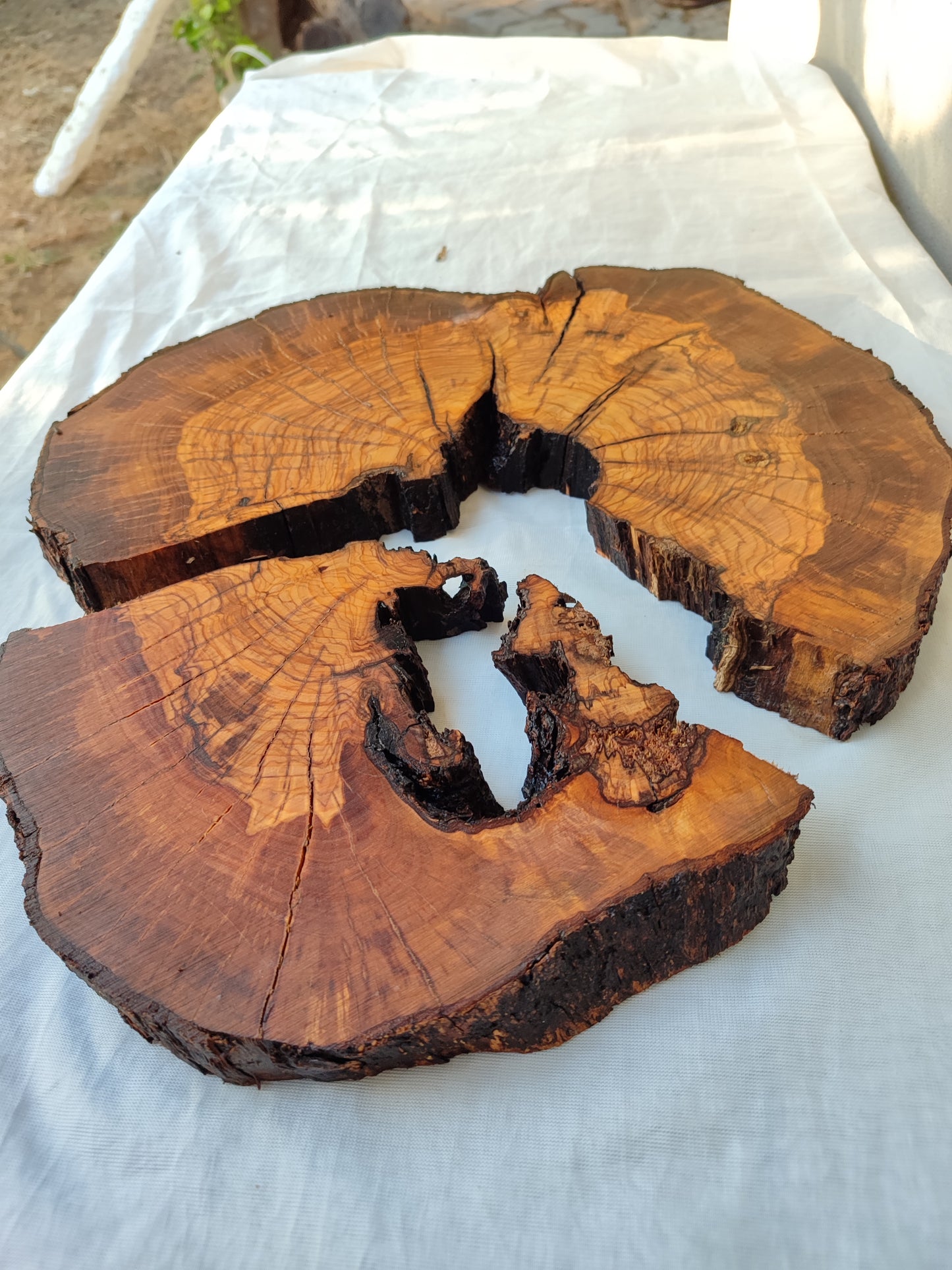 Rare Olive Wood Slab - Live Edge Slab, Unique Grain, Sustainable Luxury - 36x38x2.5 cm