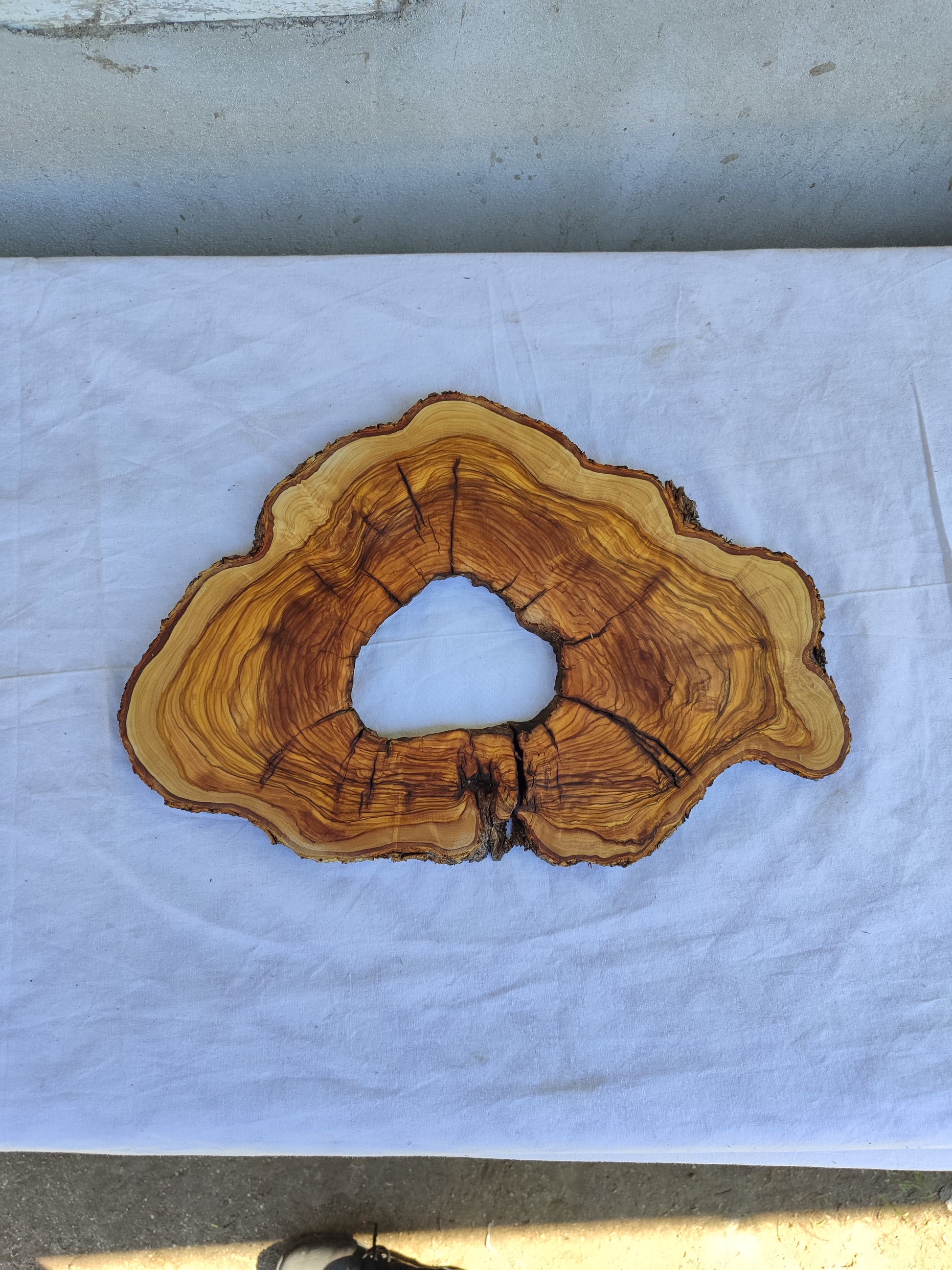 Rare Olive Wood Live Edge Slab 26x38cm | Ultra Dry 3% Moisture | Unique Grain for Epoxy Resin & Luthier Art