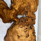 Rare Live Edge Olive Wood Slab (44x64cm) - Super Dry Epoxy Resin Lumber for Coffee Table, Clock & Guitar Body - Unique Natural Grain Art.