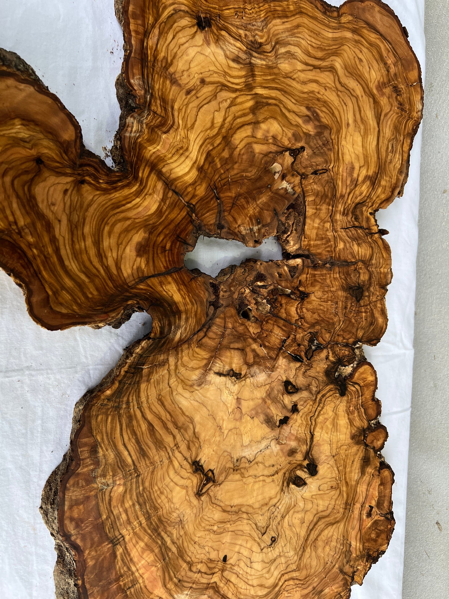 Rare Live Edge Olive Wood Slab (44x64cm) - Super Dry Epoxy Resin Lumber for Coffee Table, Clock & Guitar Body - Unique Natural Grain Art.