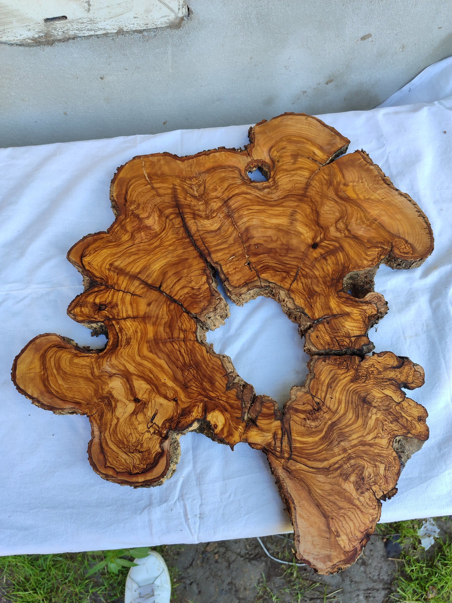 Rare Ancient Olive Wood Slab 43x53cm Live Edge Lumber for Epoxy Resin.