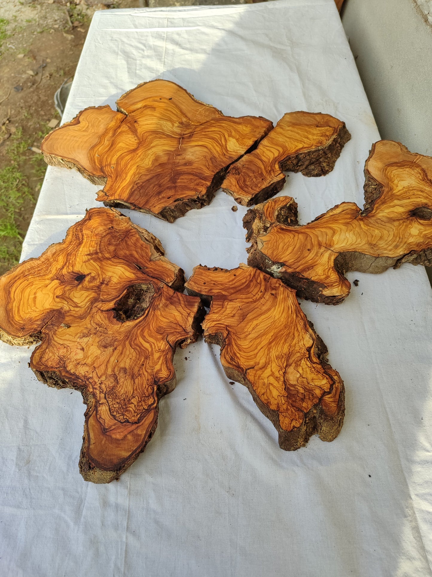 Rare Olive Wood Slab 23"x23" | Live Edge Epoxy Table Top | Premium Luthier Wood | Dry Exotic Lumber | Unique Grain DIY Art 58x59cm.