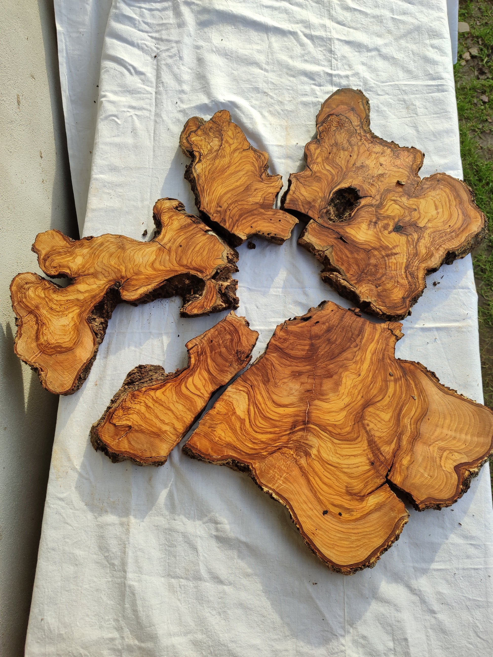 Rare Olive Wood Slab 23"x23" | Live Edge Epoxy Table Top | Premium Luthier Wood | Dry Exotic Lumber | Unique Grain DIY Art 58x59cm.