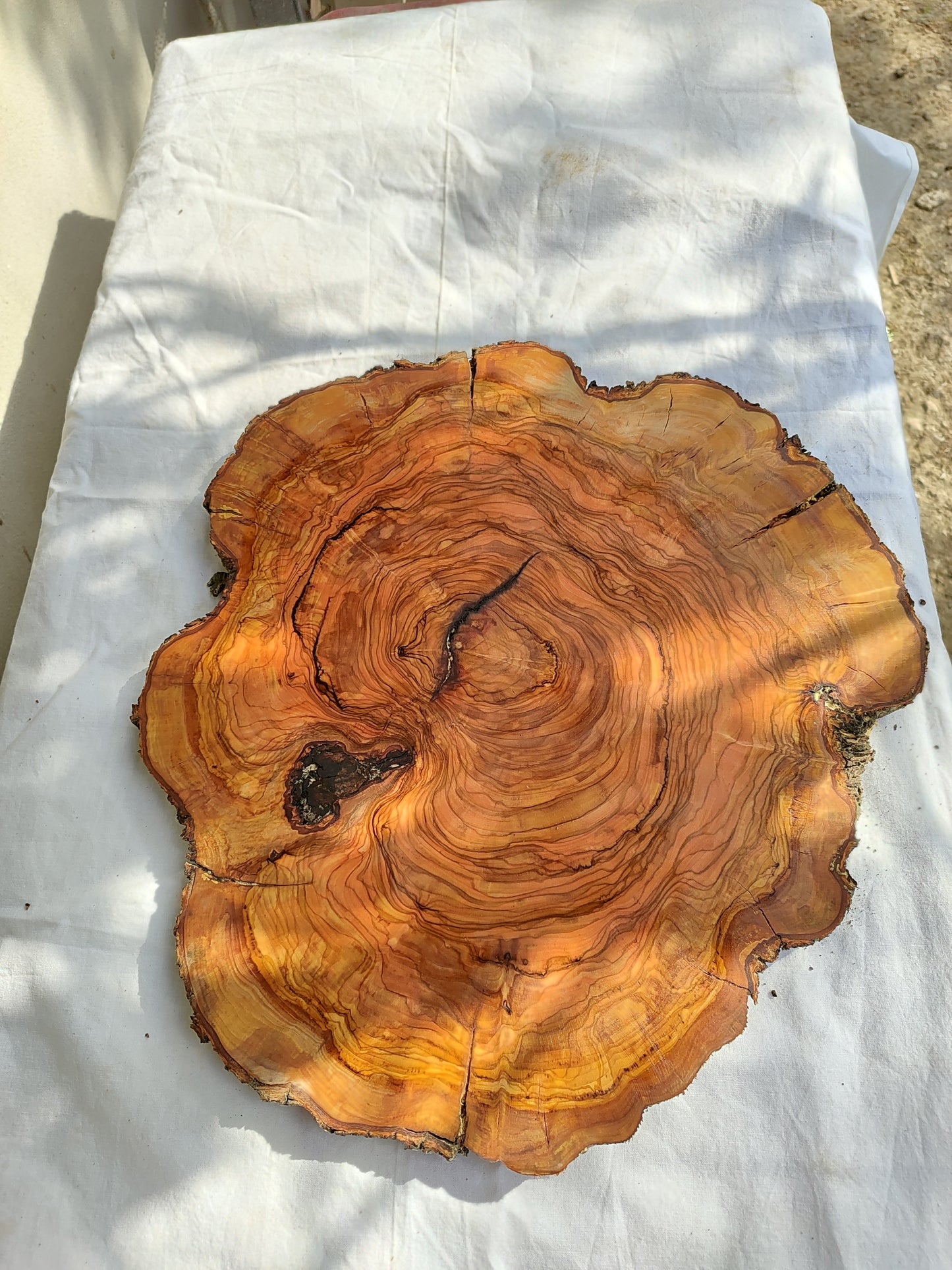 Rare Olive Wood Live Edge Slab – 39x42x2.5 cm – Unique Grain Sustainable Luxury for Epoxy & Crafts - Olive Generic