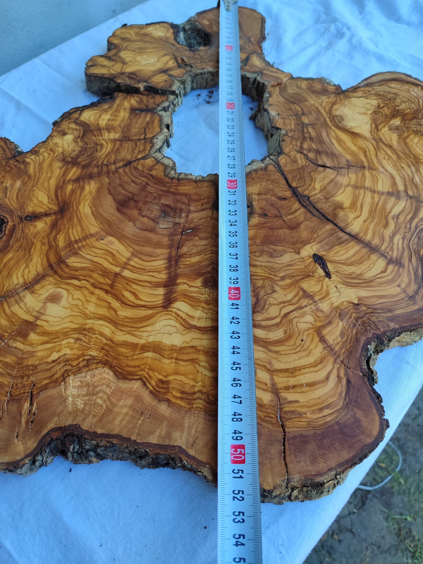 Rare Huge Live Edge Olive Wood Burl Slab 48x52cm - Premium Dry Exotic Lumber for Epoxy Resin Art, Guitar Body & Luxury Coffee Table DIY.