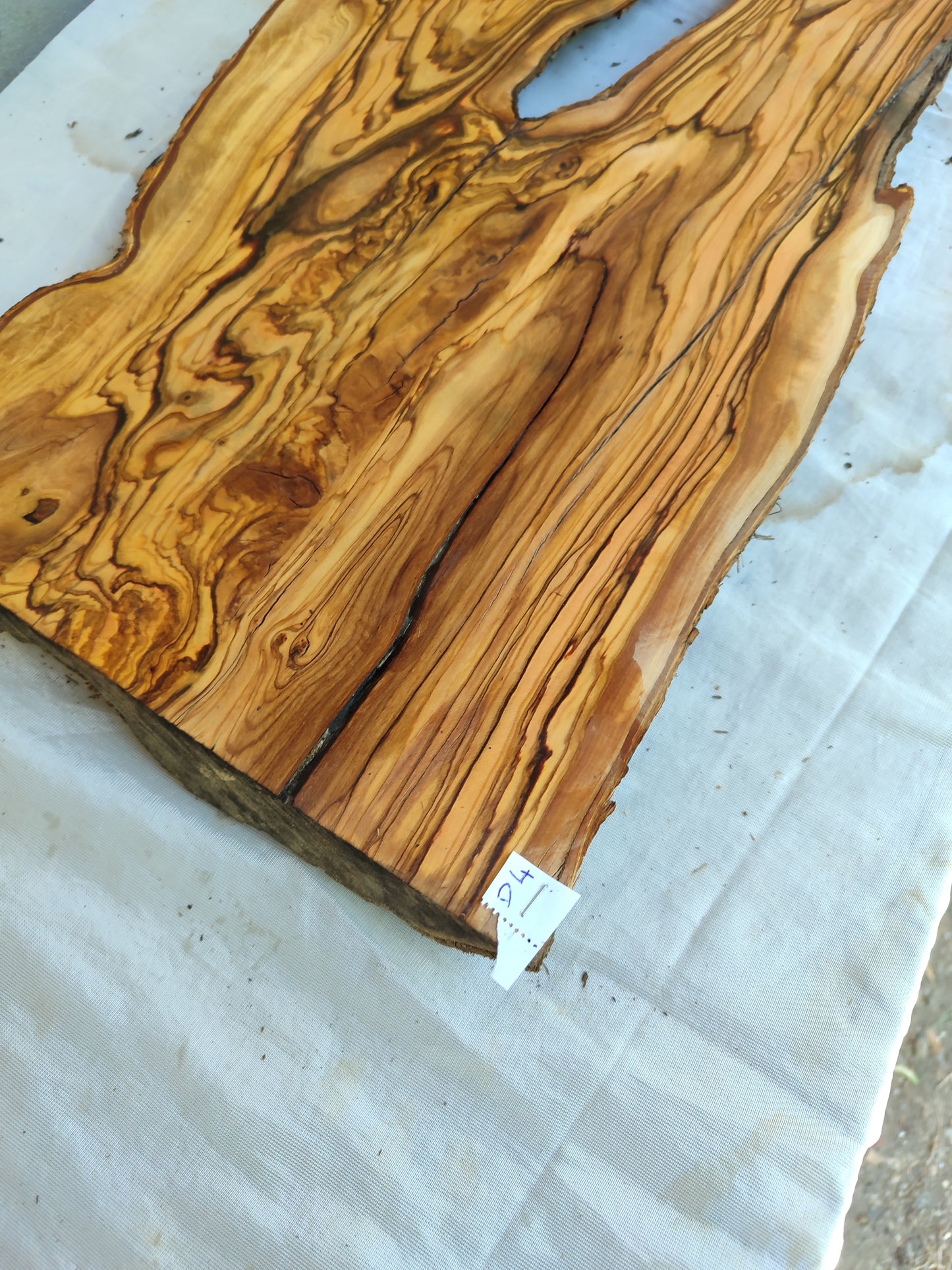 Rare Live Edge Olive Wood Slab – Unique Grain, Sustainable Luxury for Epoxy, Table & Crafts