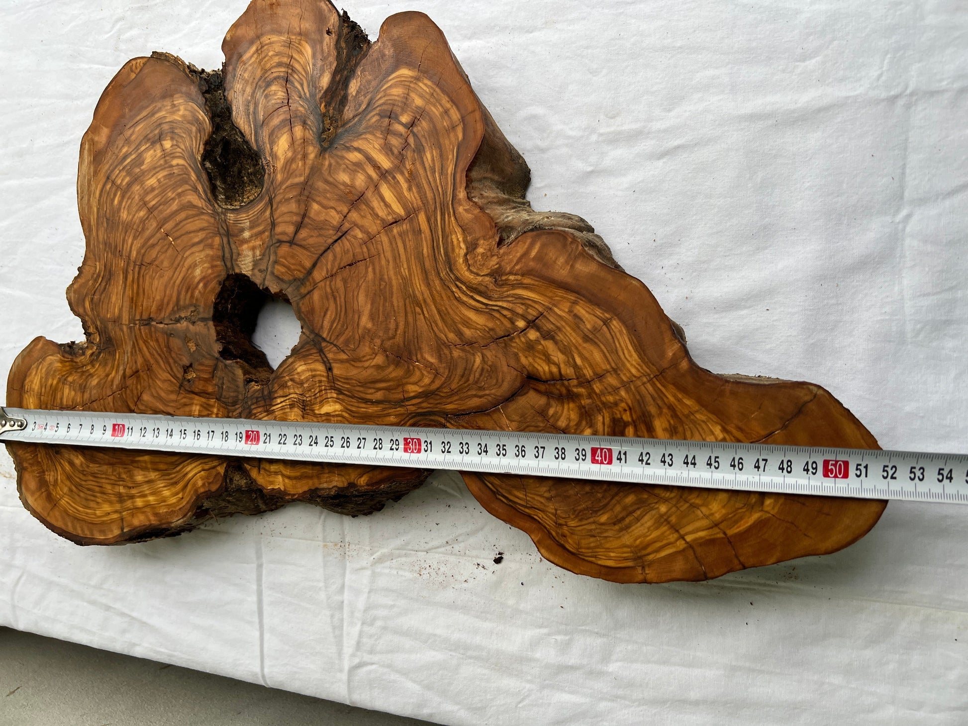 Rare Olive Wood Slab 28x52cm | Dry Live Edge Burl for Resin Art, Clock & Luthier | Unique Grain Sustainable Luxury Woodworking Material.