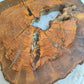 Rare Olive Wood Live Edge Slab – Unique Grain, Premium Natural Luster, 36x38x2.5 cm – Sustainable Luxury for Epoxy & Artisan Crafts