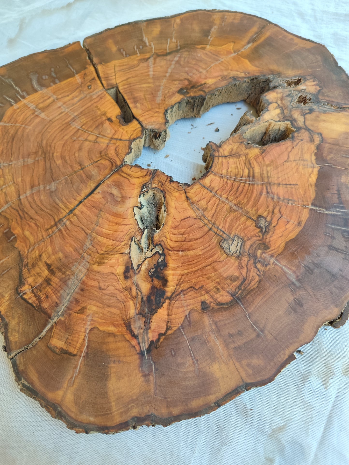 Rare Olive Wood Live Edge Slab – Unique Grain, Premium Natural Luster, 36x38x2.5 cm – Sustainable Luxury for Epoxy & Artisan Crafts