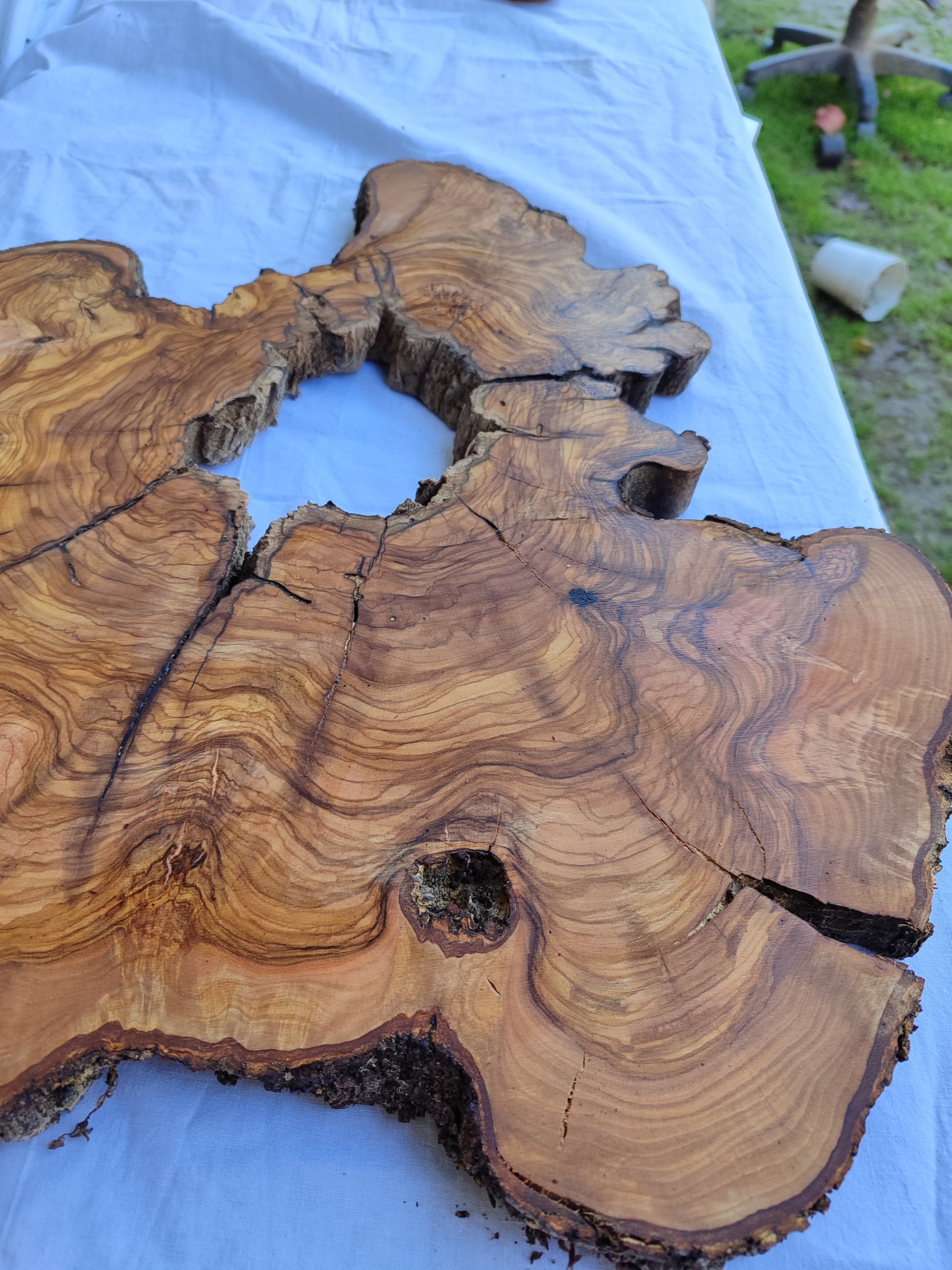Rare Olive Wood Slab 51x51cm | Live Edge for Epoxy Resin & Coffee Table.
