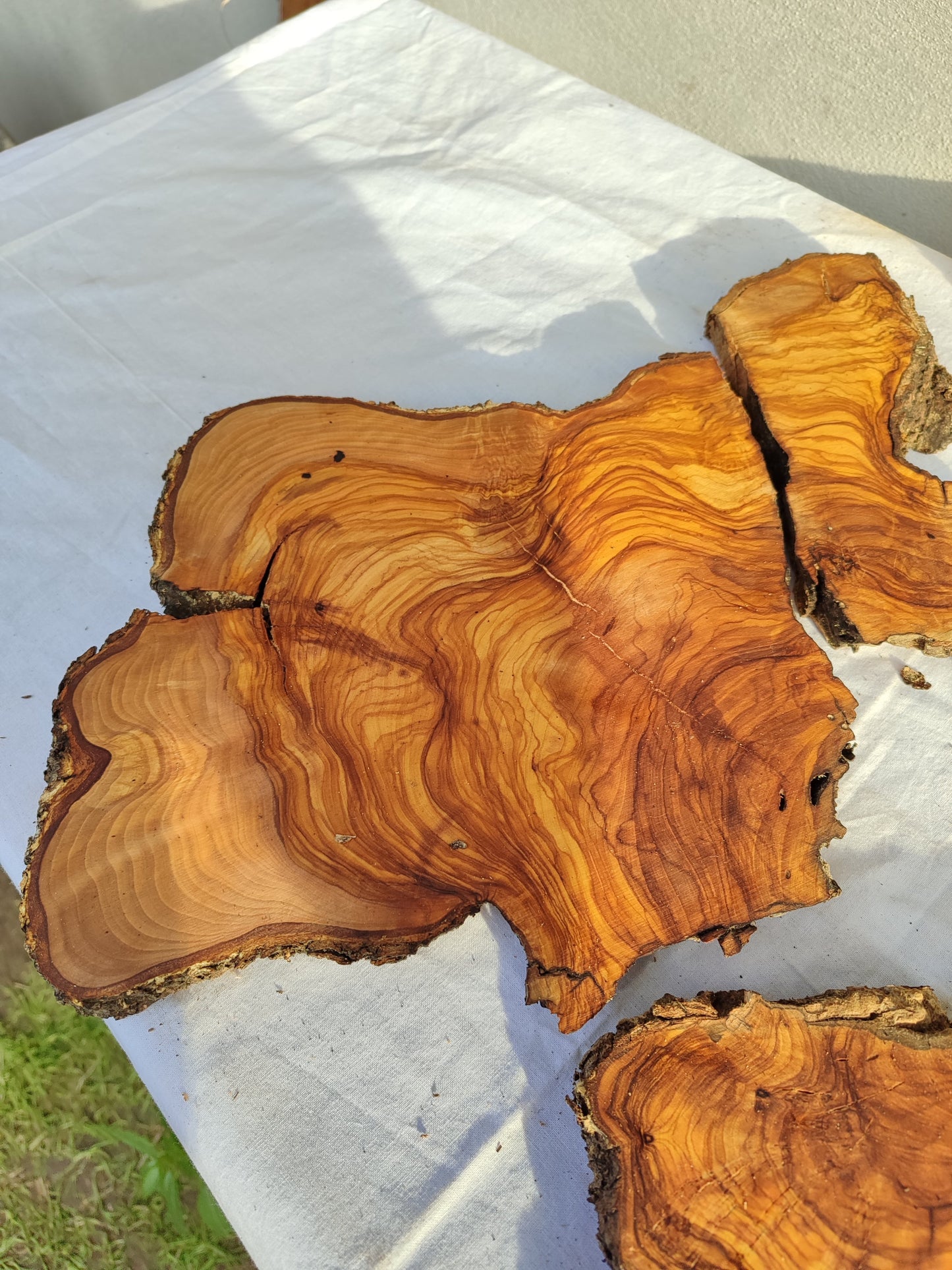 Rare Olive Wood Slab 23"x23" | Live Edge Epoxy Table Top | Premium Luthier Wood | Dry Exotic Lumber | Unique Grain DIY Art 58x59cm.