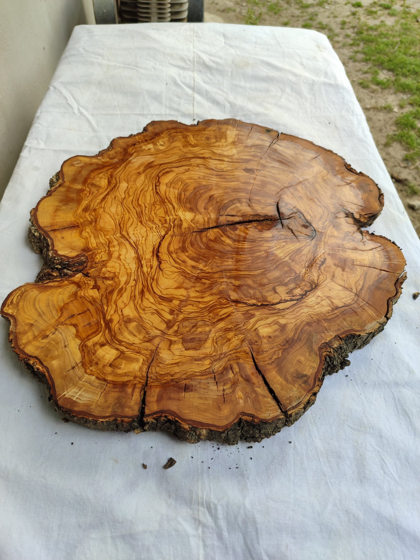 Rare Olive Wood Live Edge Slab – 40x44x3 cm Unique Grain Sustainable Luxury for Epoxy Table Clock & Crafts - Olive