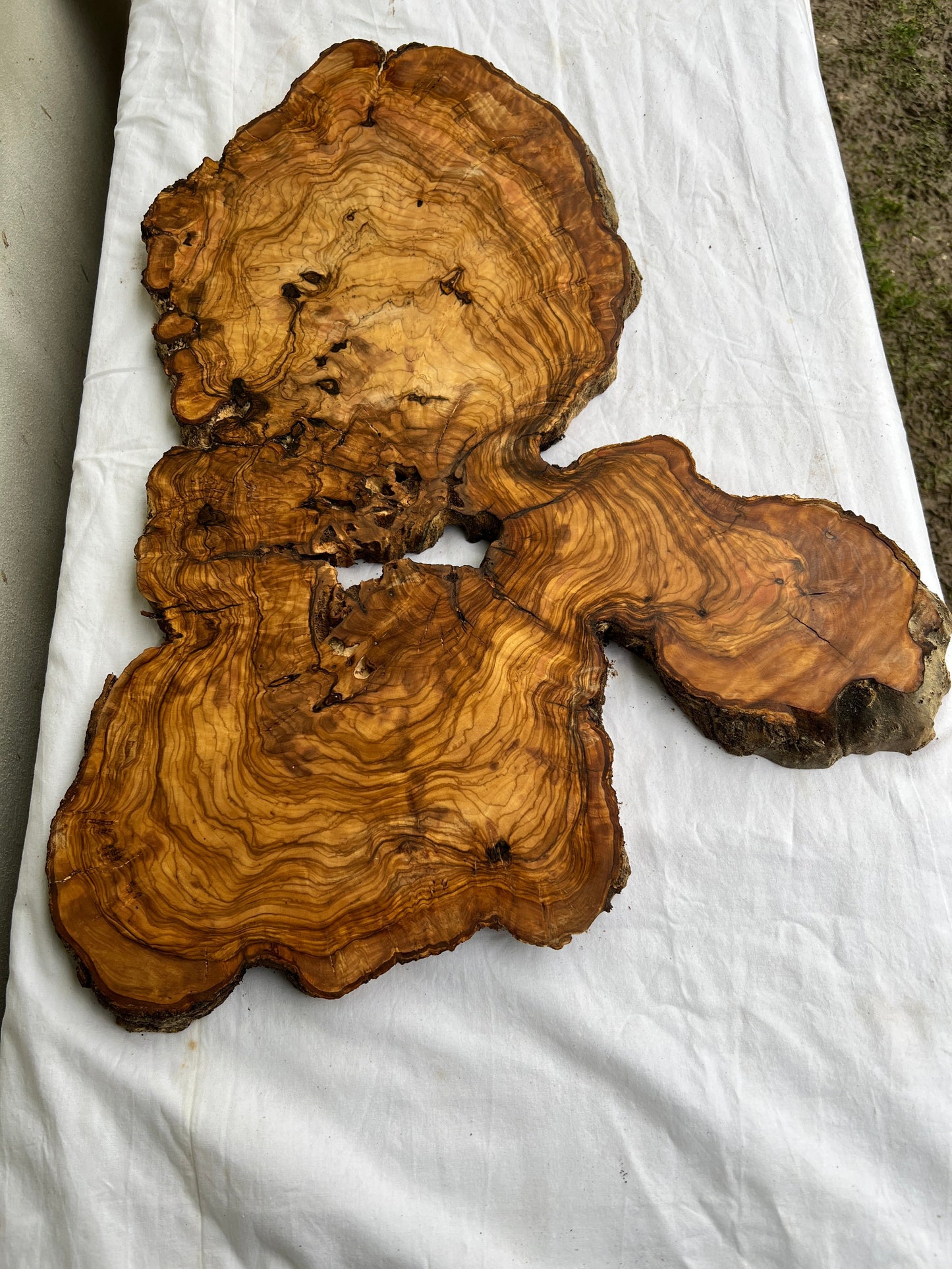 Rare Live Edge Olive Wood Slab (44x64cm) - Super Dry Epoxy Resin Lumber for Coffee Table, Clock & Guitar Body - Unique Natural Grain Art.
