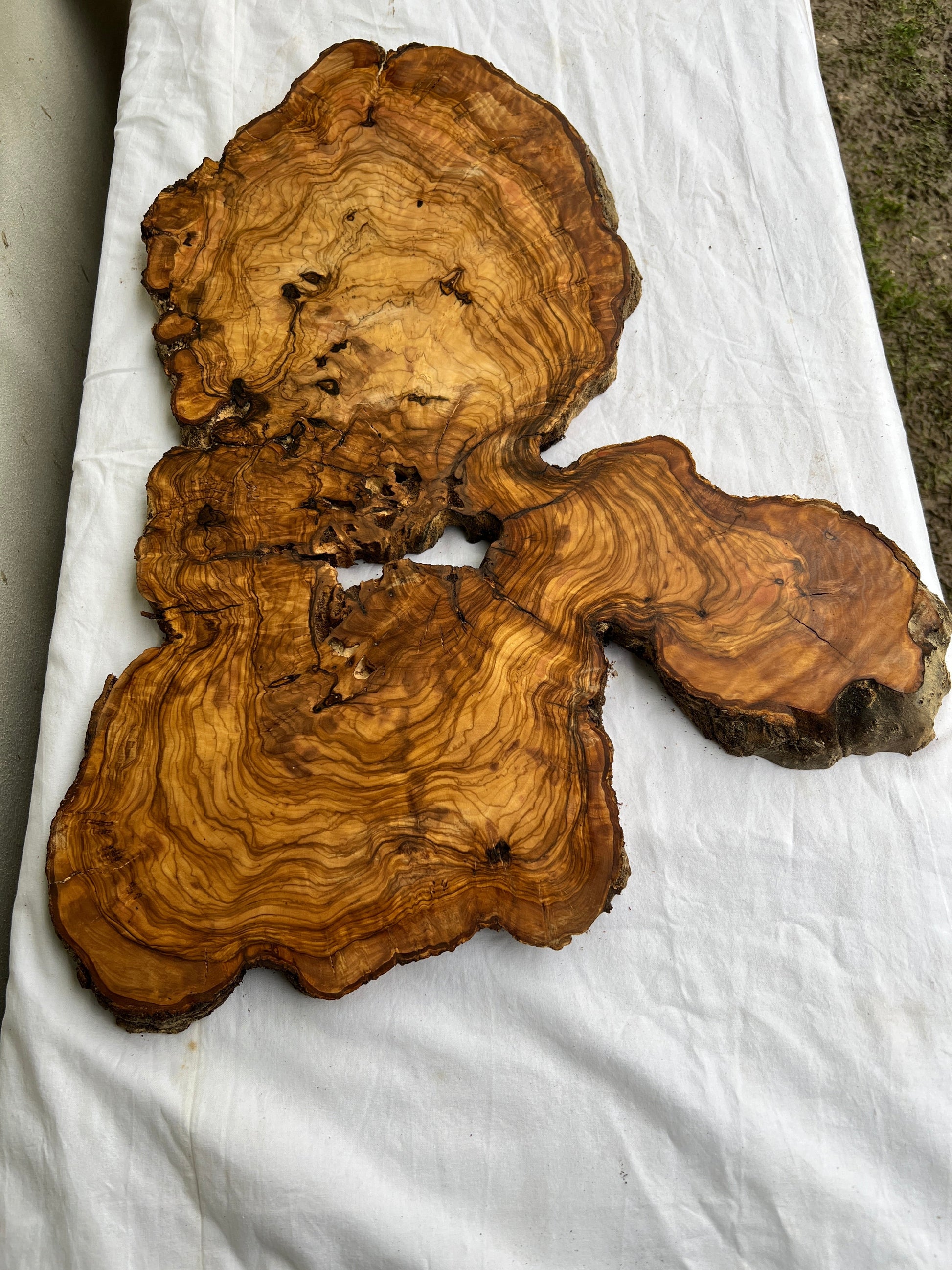 Rare Live Edge Olive Wood Slab (44x64cm) - Super Dry Epoxy Resin Lumber for Coffee Table, Clock & Guitar Body - Unique Natural Grain Art.