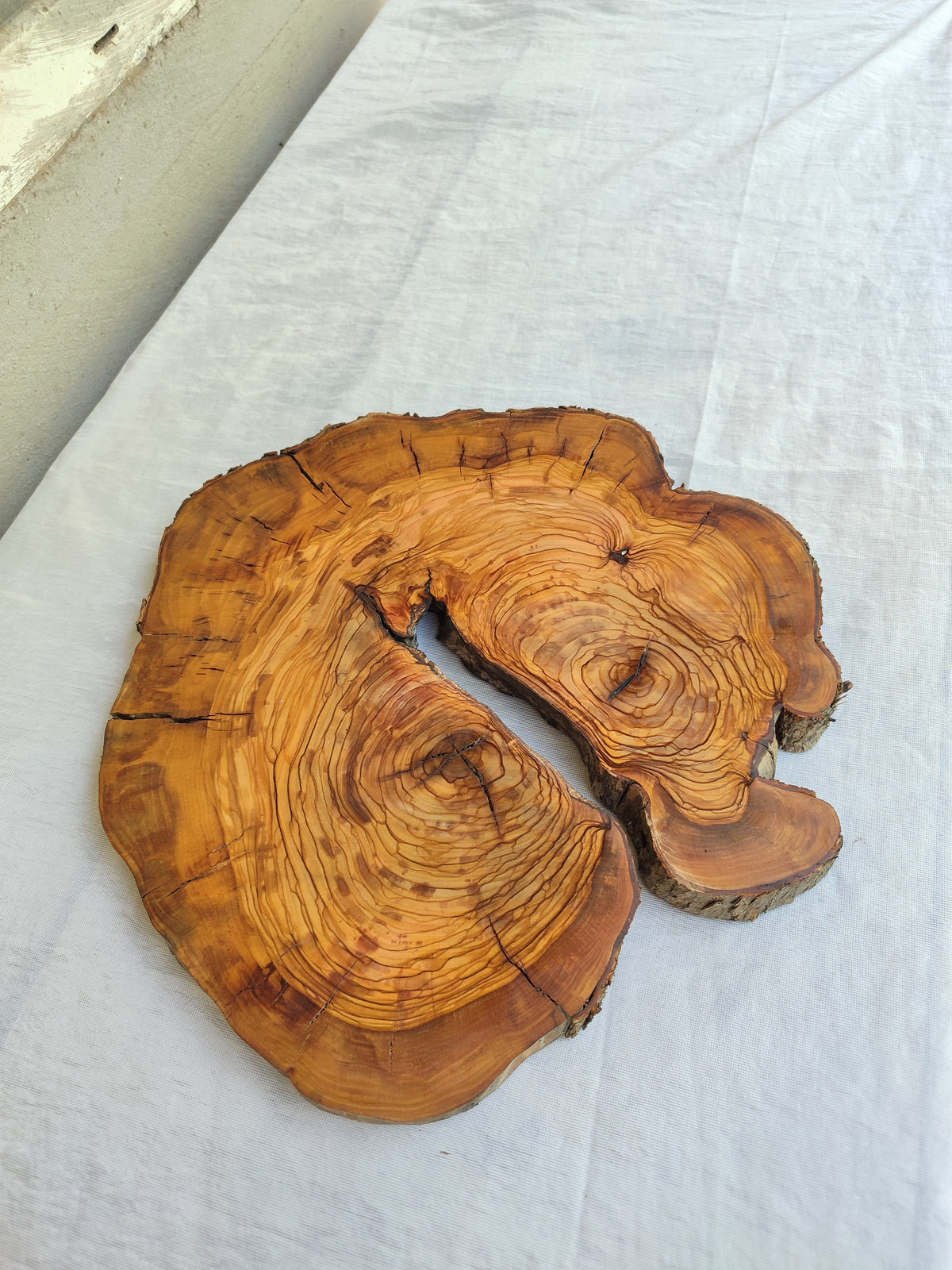 Olive Wood Slab Live Edge Raw 32x33cm Epoxy Resin Handmade
