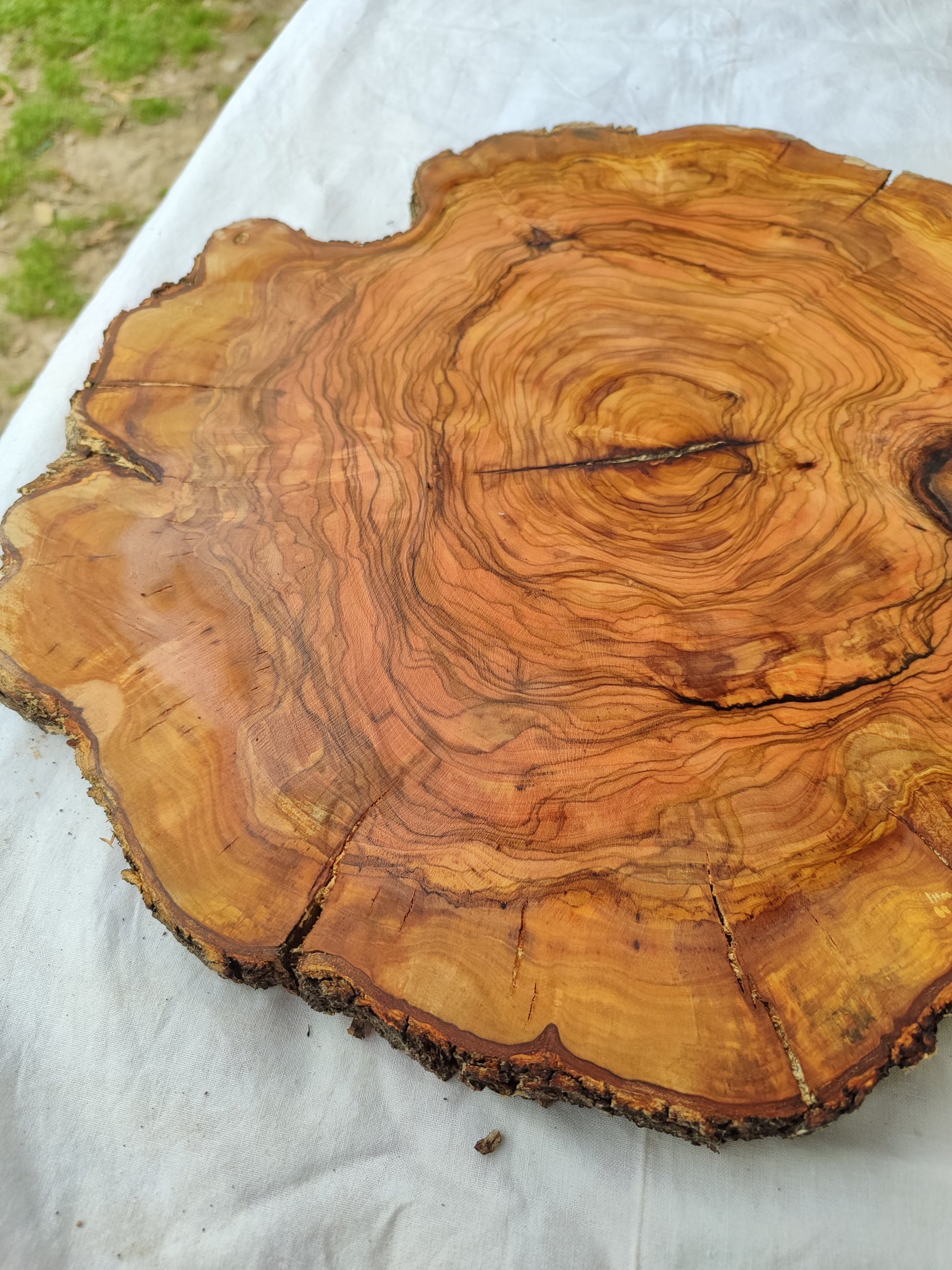 Rare Olive Wood Slab – Live Edge Unique Grain Sustainable Luxury – 40x42x2.5cm Premium Natural Luster - Olive Generic