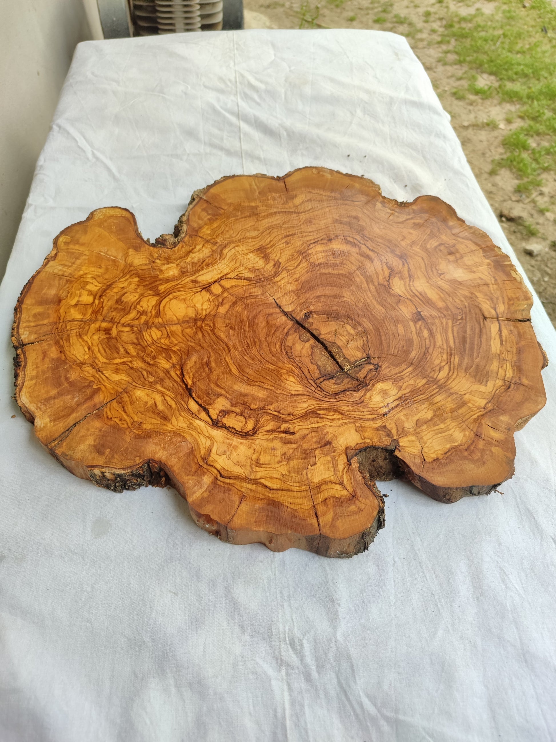 Rare Olive Wood Live Edge Slab – 40x44x2.5cm Unique Grain Sustainable Luxury - Olive Generic