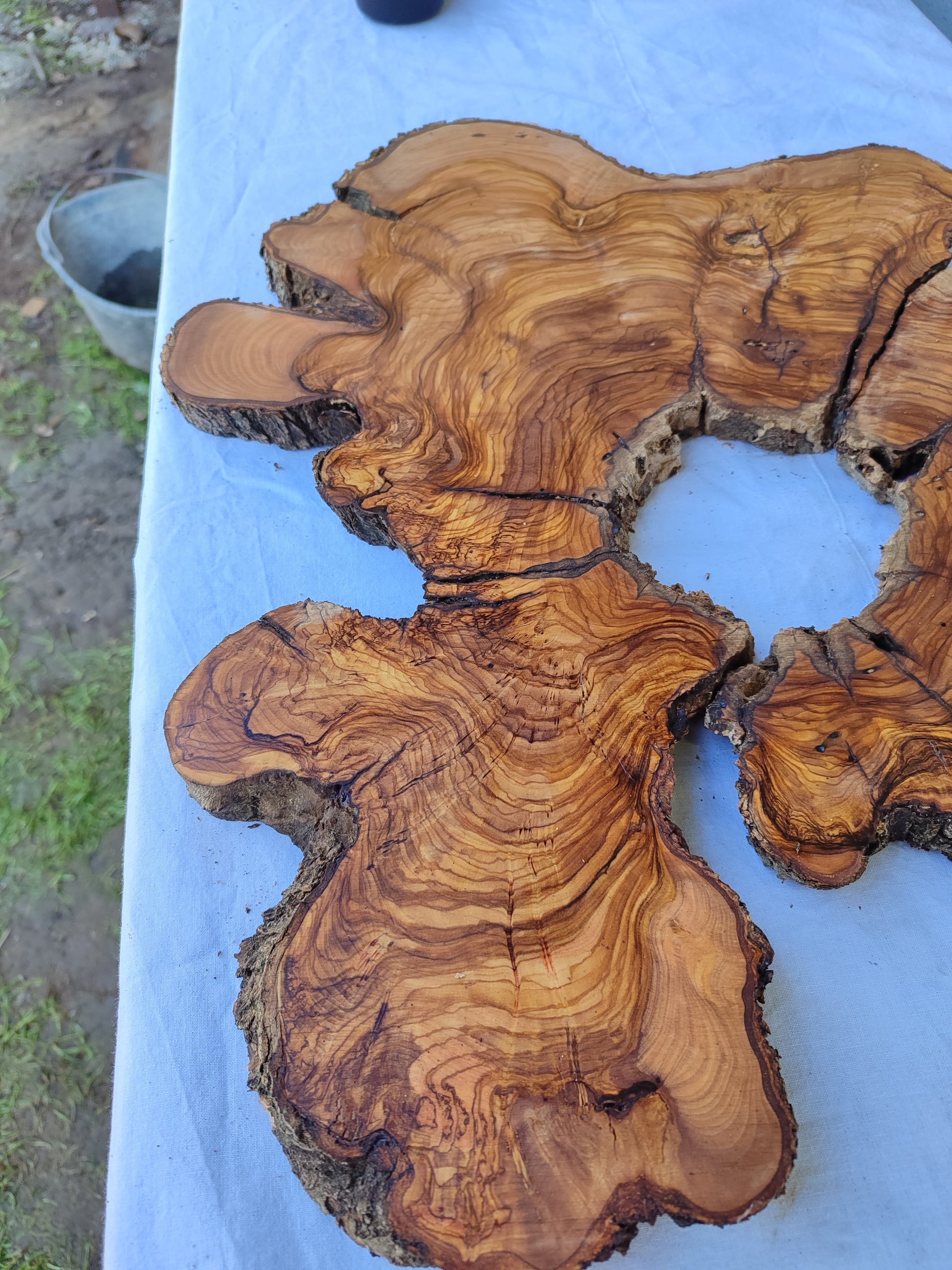 Rare Live Edge Olive Wood Slab 2pc Set 50x52cm | Super Dry 3% Moisture for Epoxy Resin & Guitar | Unique Grain Sustainable Luxury Art Wood.
