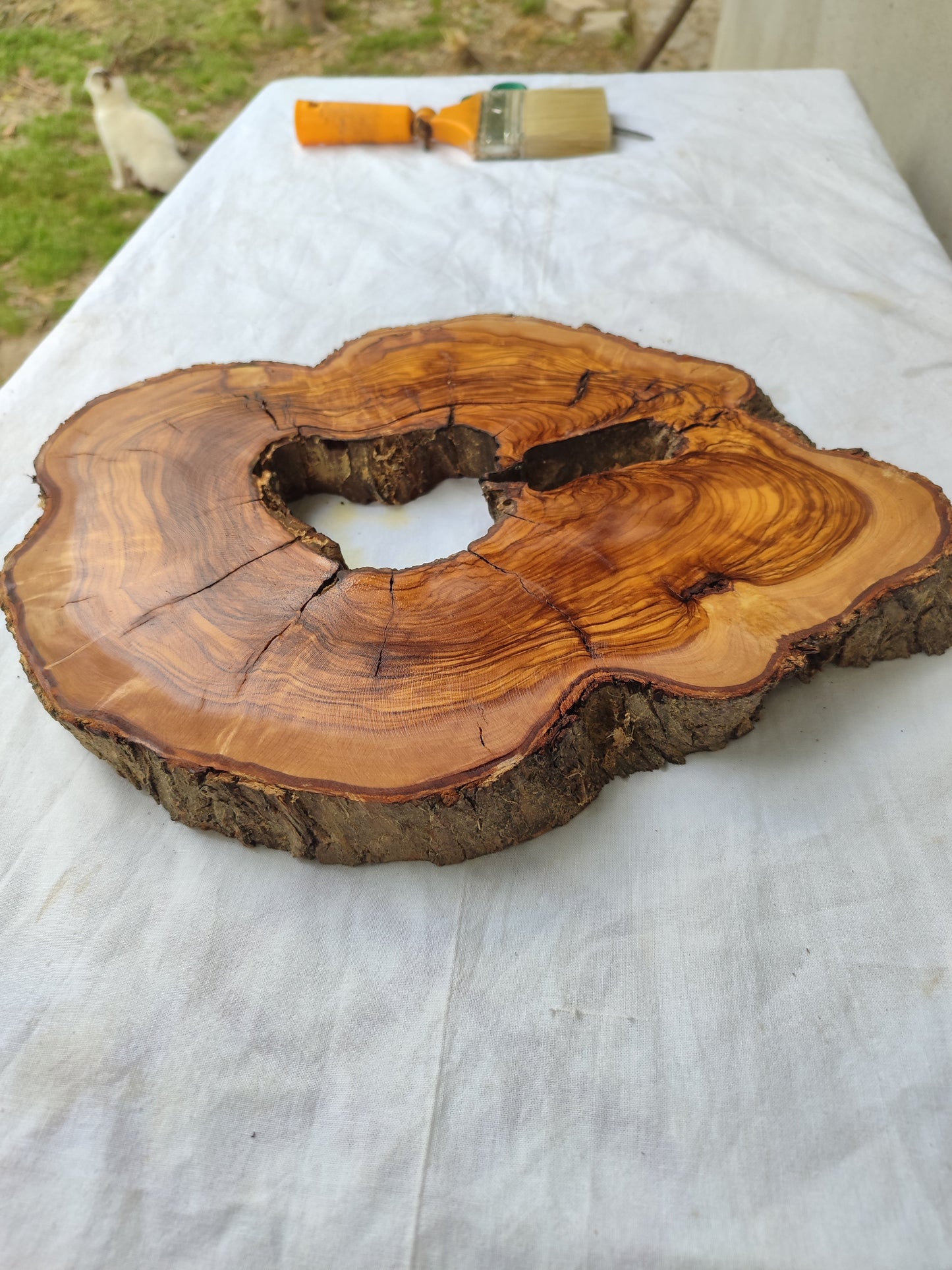 Rare Olive Wood Live Edge Slab – Premium Natural Luster – 28x36x3 cm – Sustainable Luxury - Olive Generic