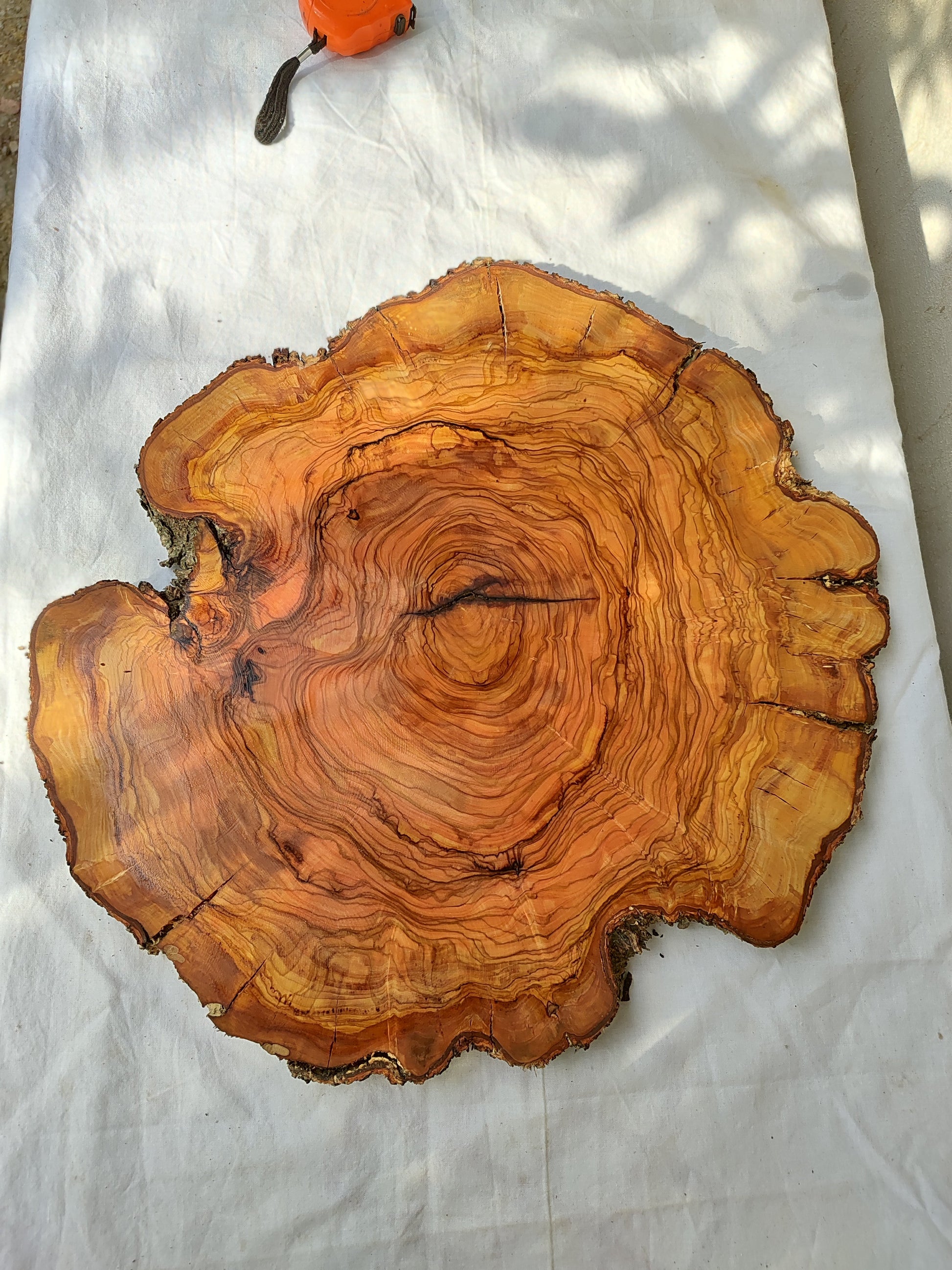 Rare Olive Wood Live Edge Slab – Unique Grain Sustainable Luxury for Epoxy Table & Craft - Olive Generic