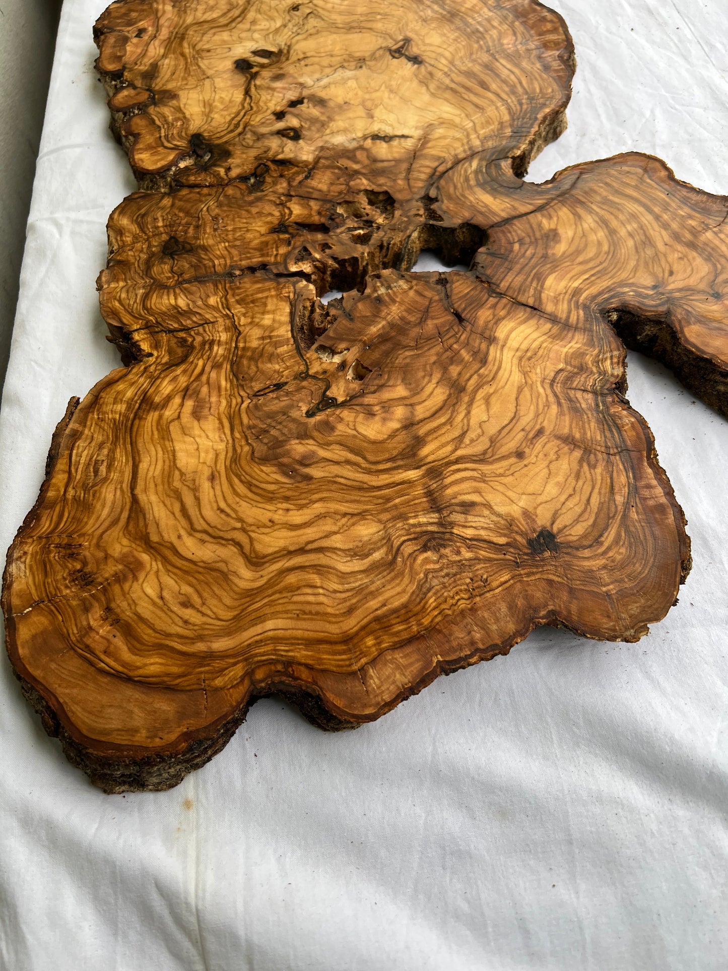 Rare Live Edge Olive Wood Slab (44x64cm) - Super Dry Epoxy Resin Lumber for Coffee Table, Clock & Guitar Body - Unique Natural Grain Art.
