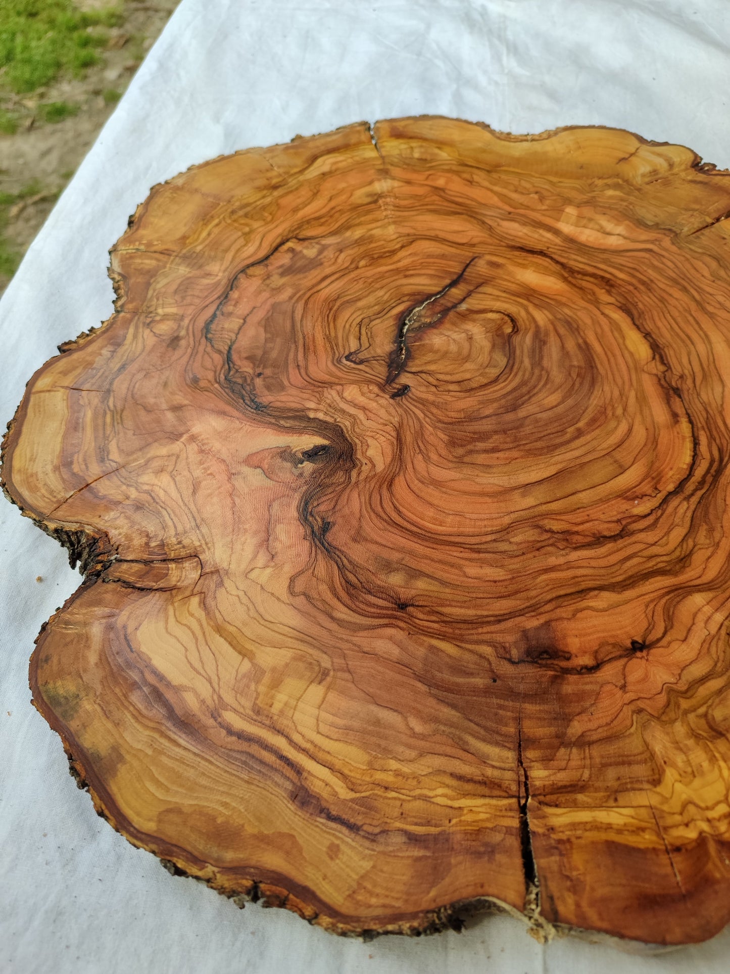Rare Olive Wood Slab – Live Edge Unique Grain Sustainable Luxury for Epoxy Table & Craft - Olive Generic