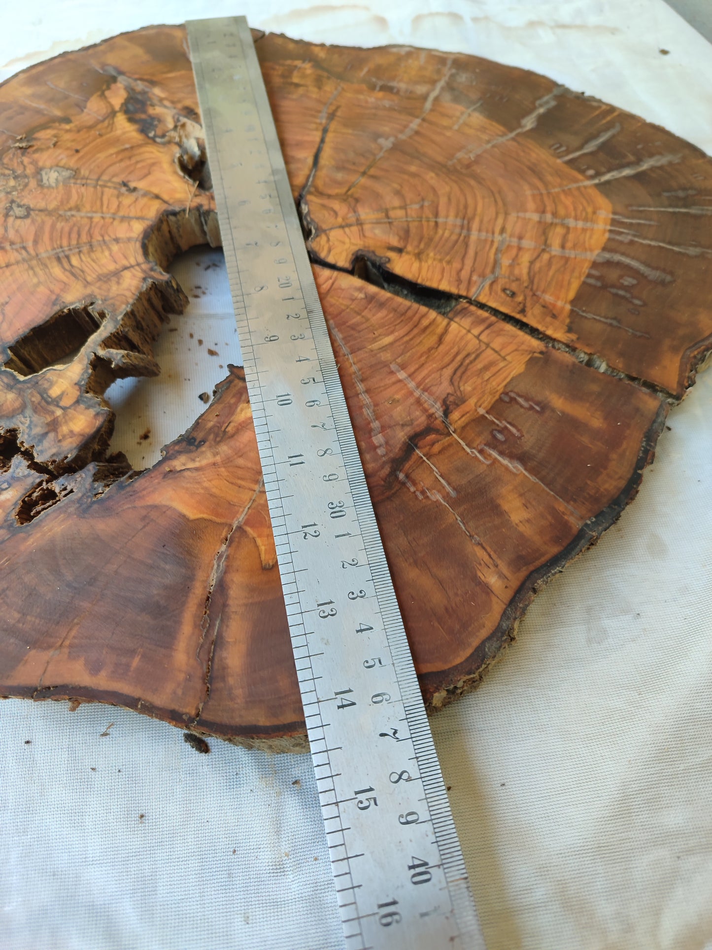 Rare Olive Wood Live Edge Slab – Unique Grain, Premium Natural Luster, 36x38x2.5 cm – Sustainable Luxury for Epoxy & Artisan Crafts