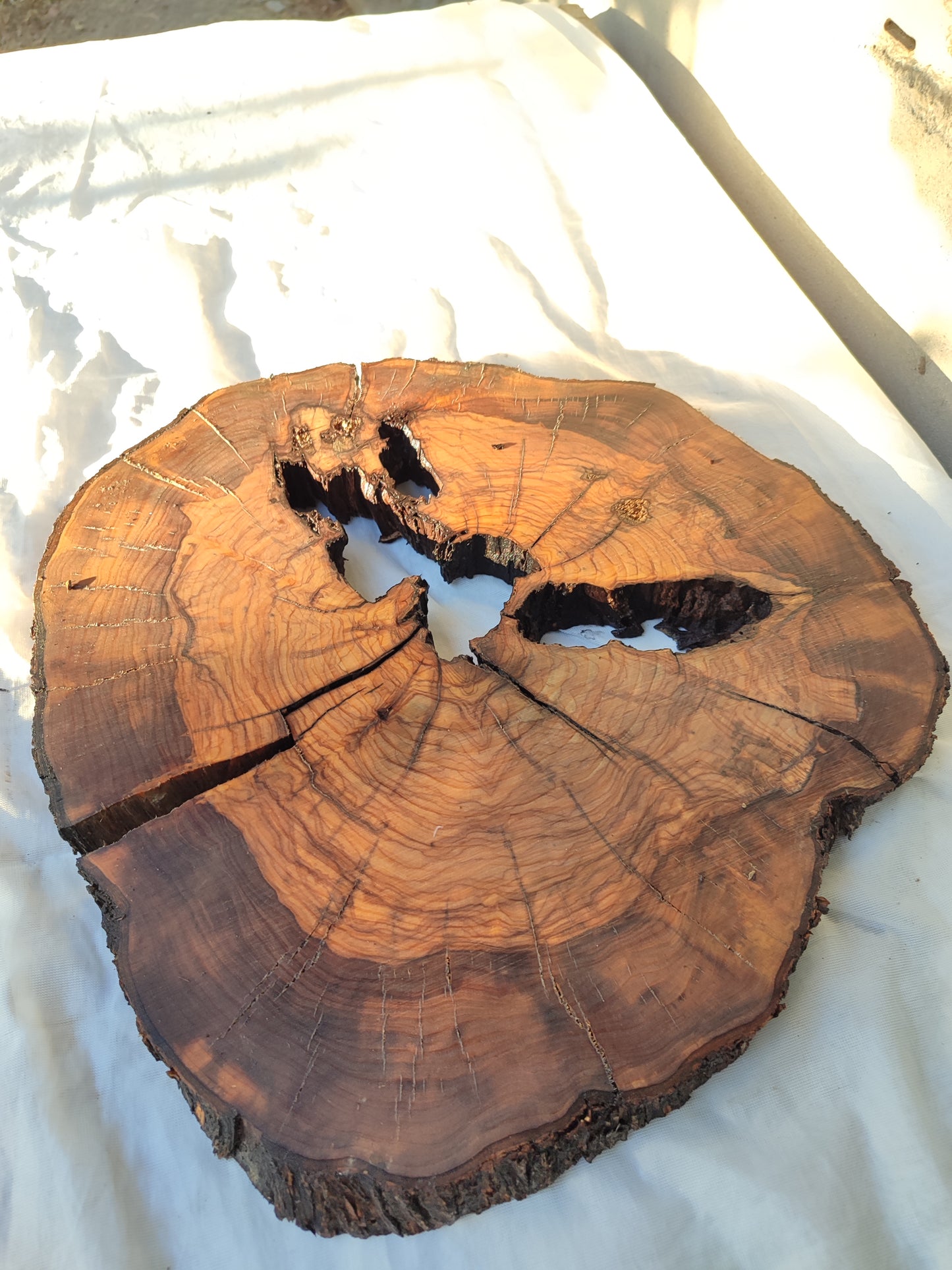 Rare Olive Wood Slab – Live Edge, Unique Grain, Sustainable Luxury for Epoxy & Artisan Crafts (37x37x2.5 cm)